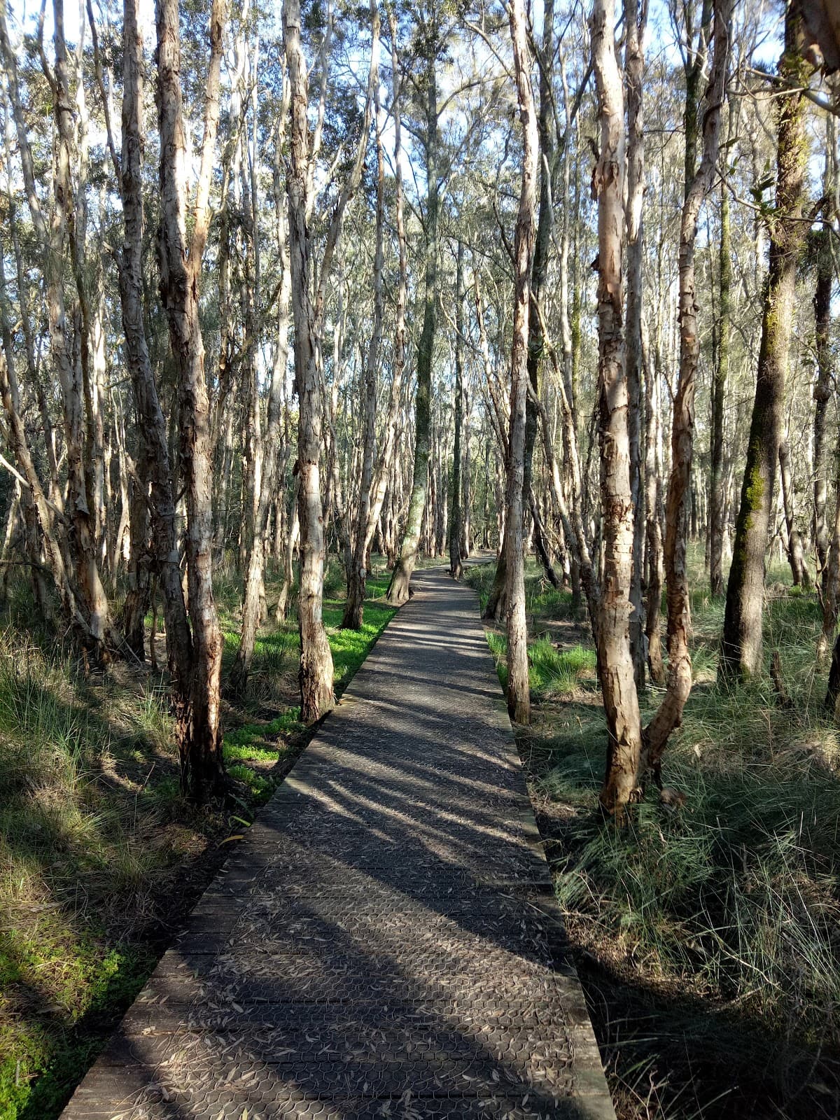 Kooloonbung Creek Nature Park and Historic Cemetery - Image 1