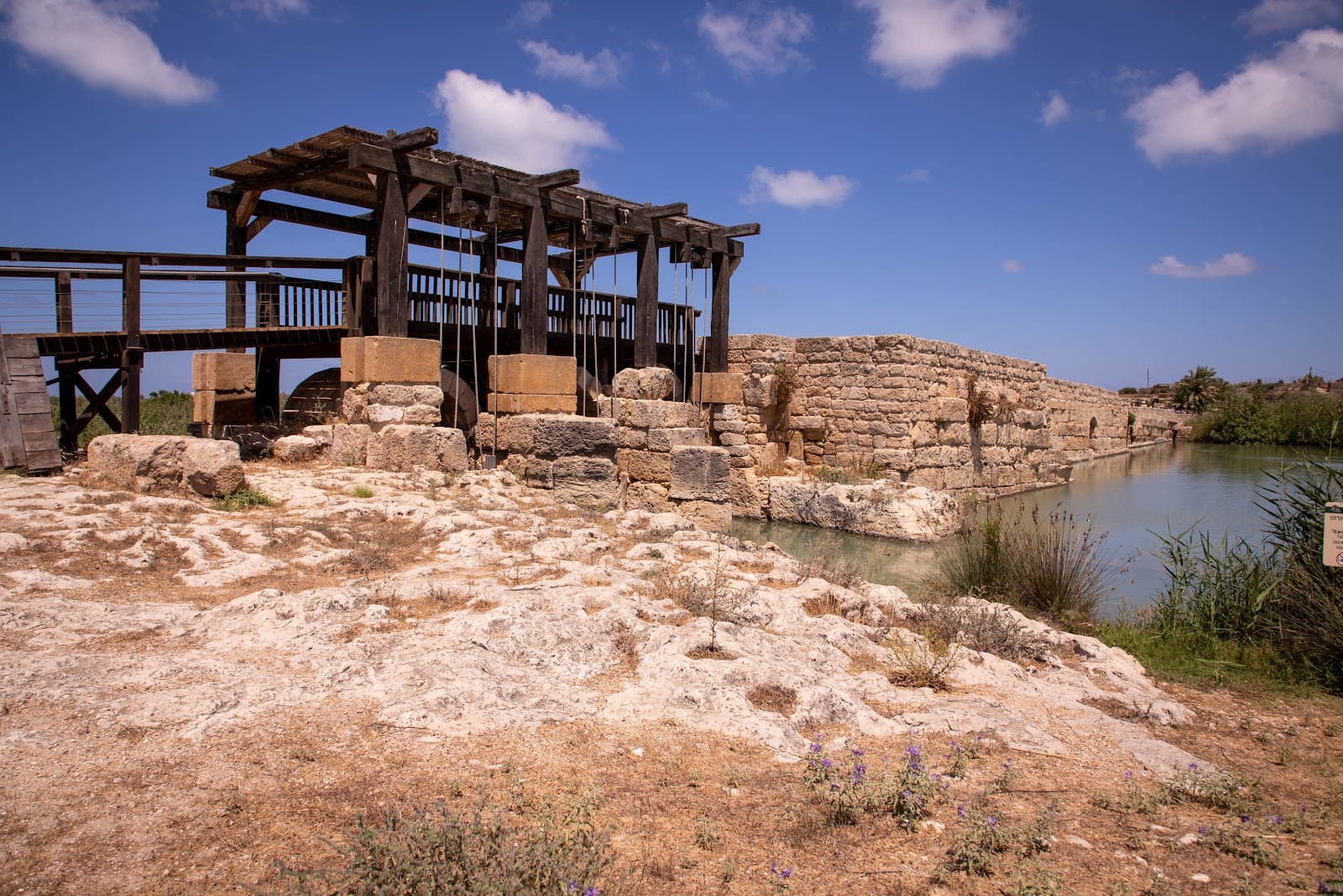 Taninim Stream Nature Reserve - Image 1