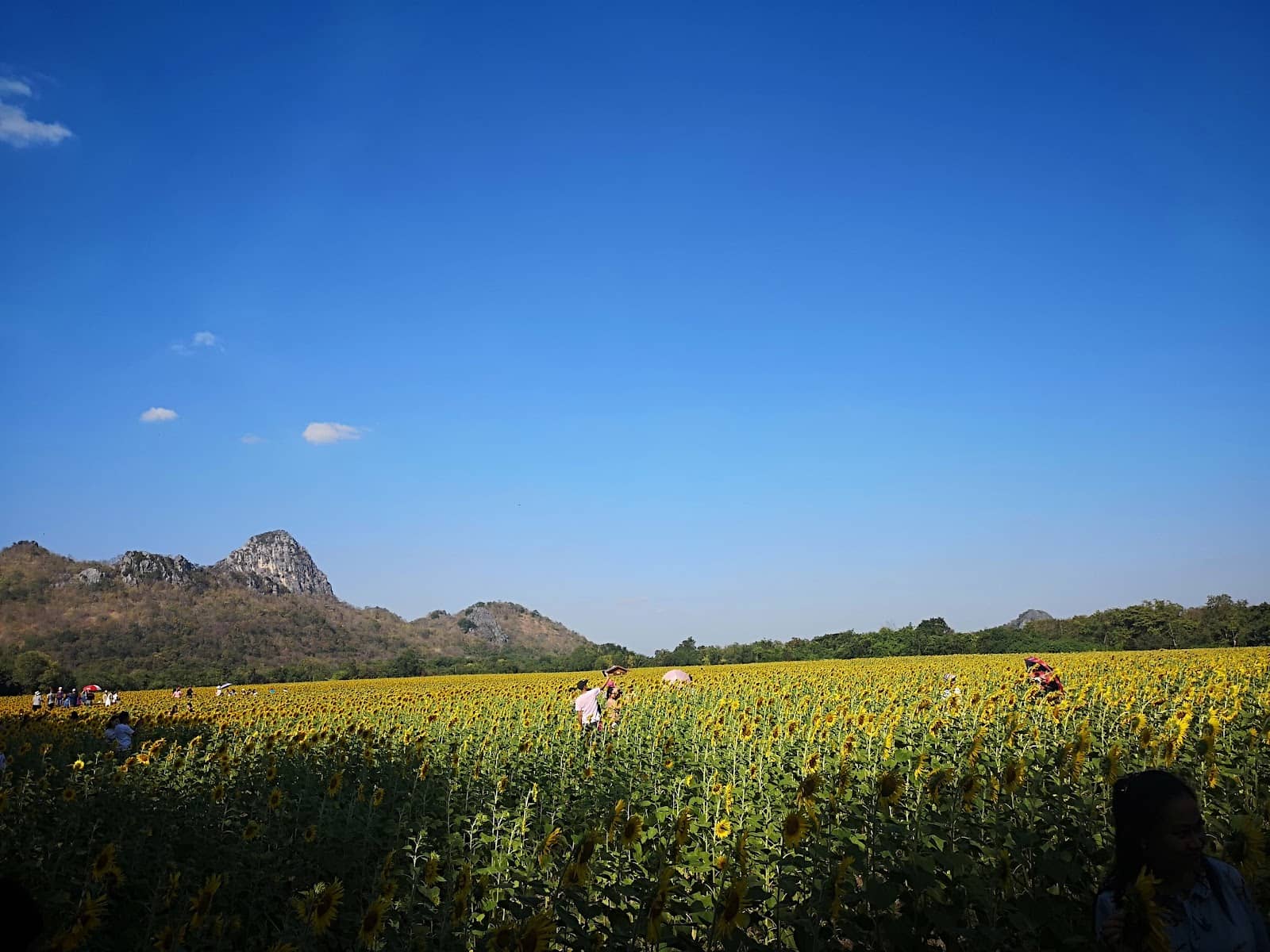 Photographer's Props