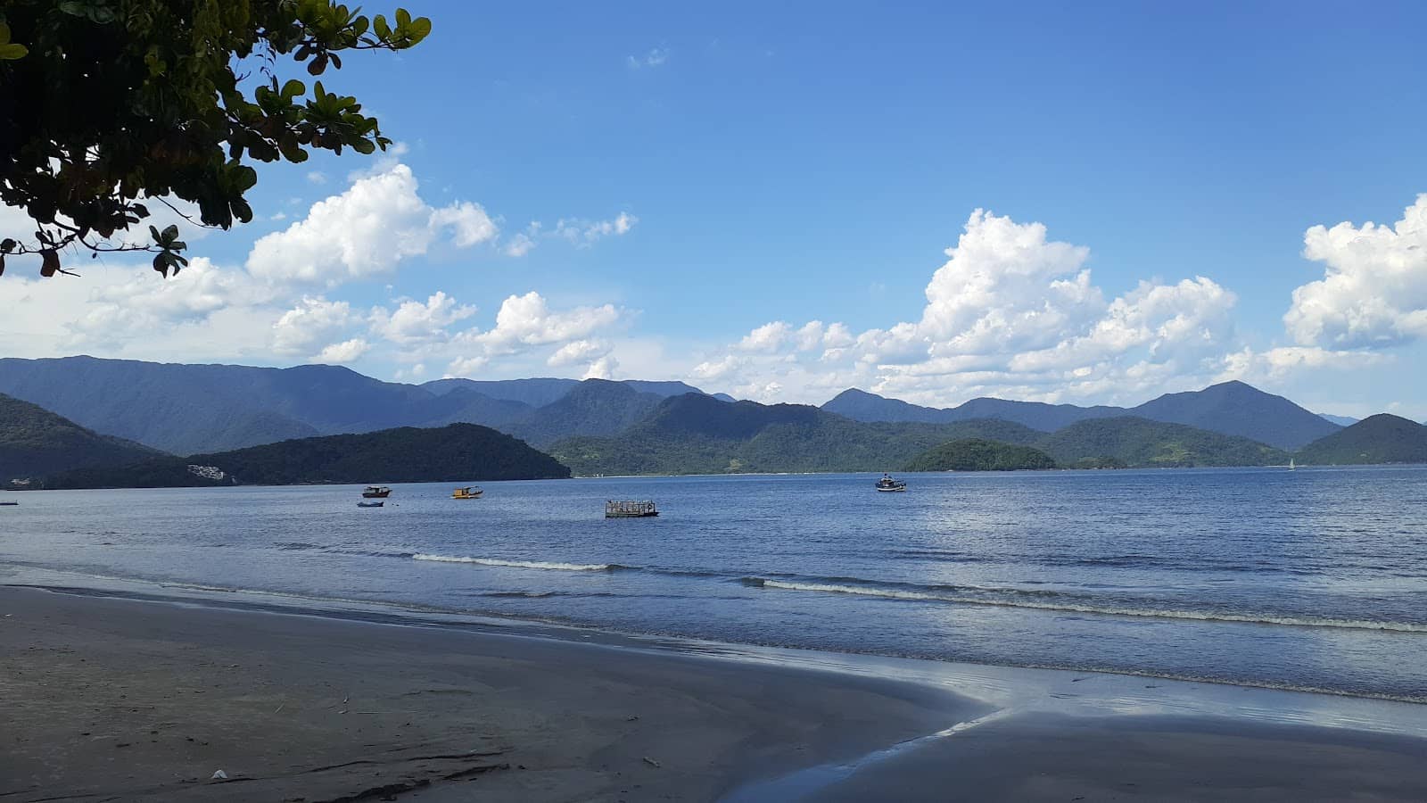 Award-Winning Pizzeria