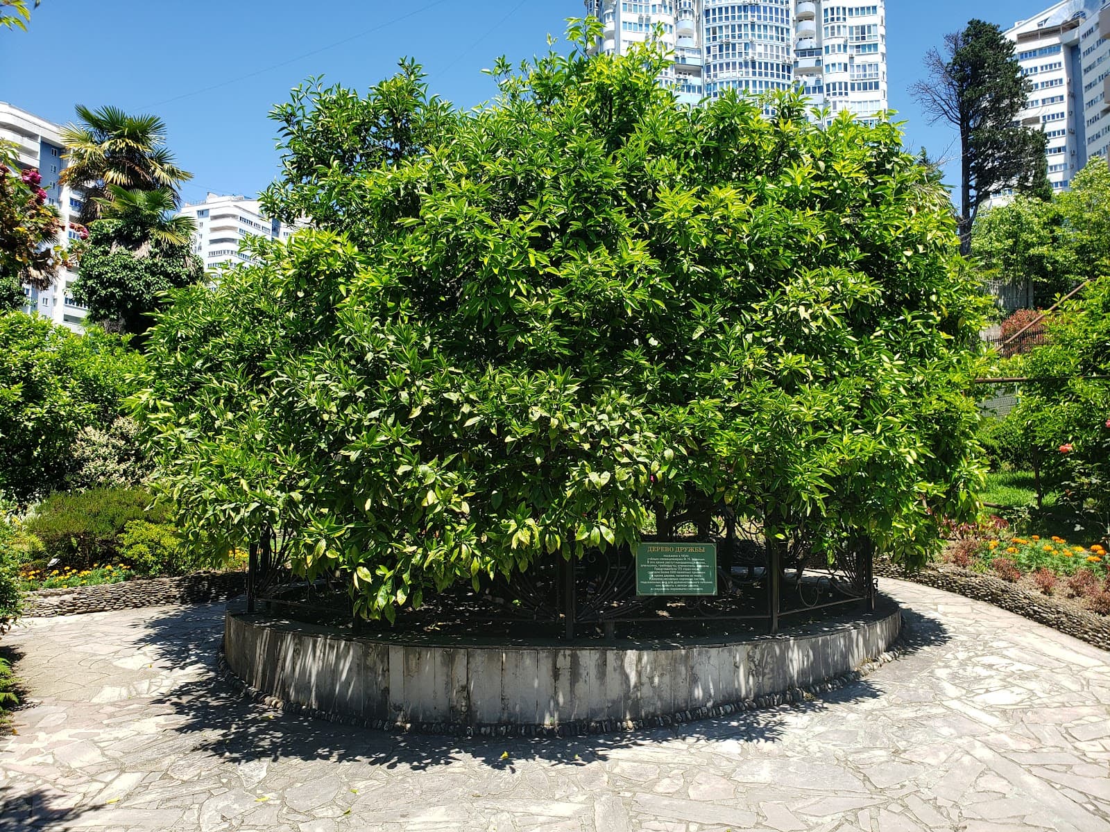 Tree of Friendship Museum - Image 1