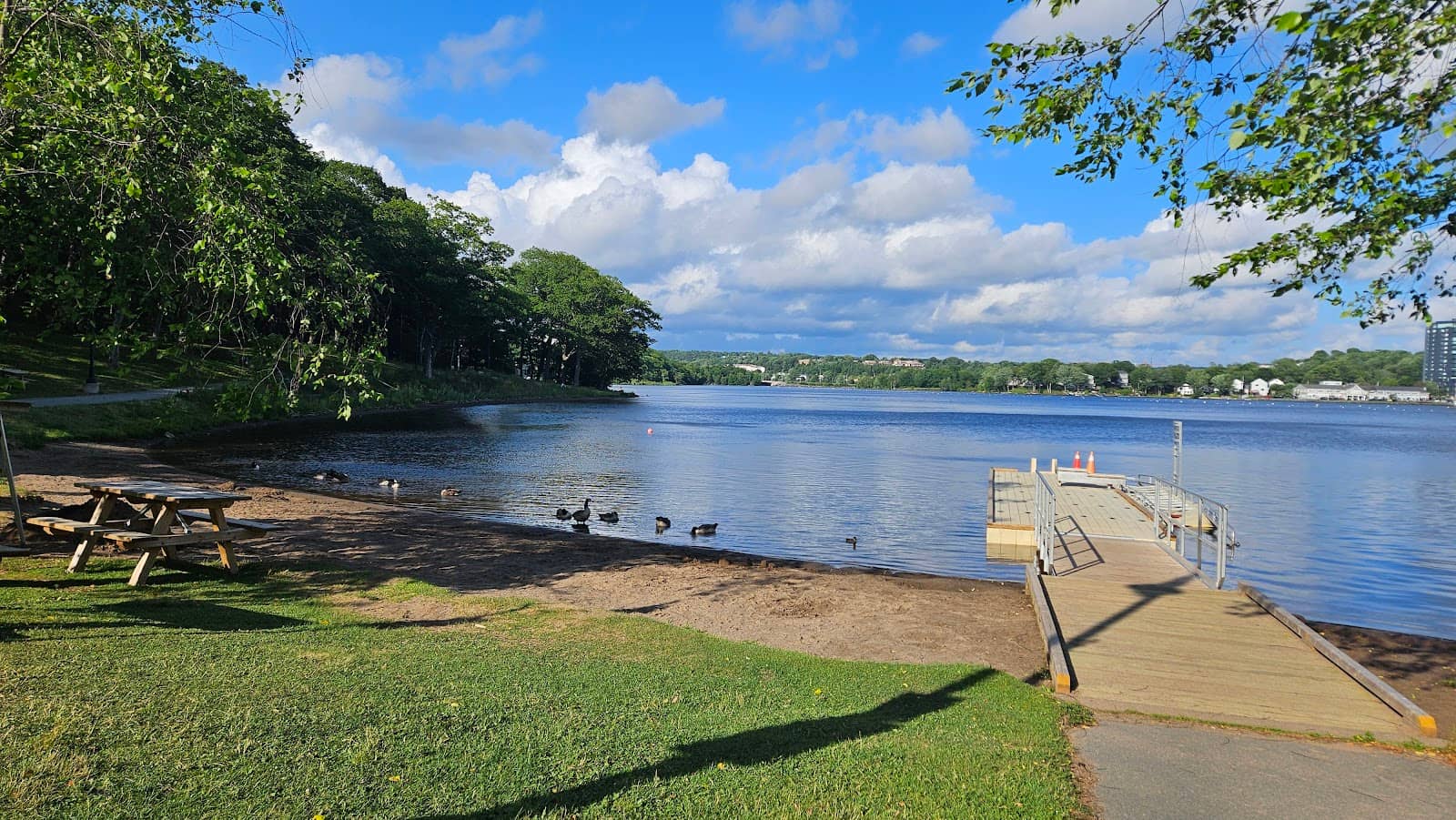 Tranquil Nature Trails