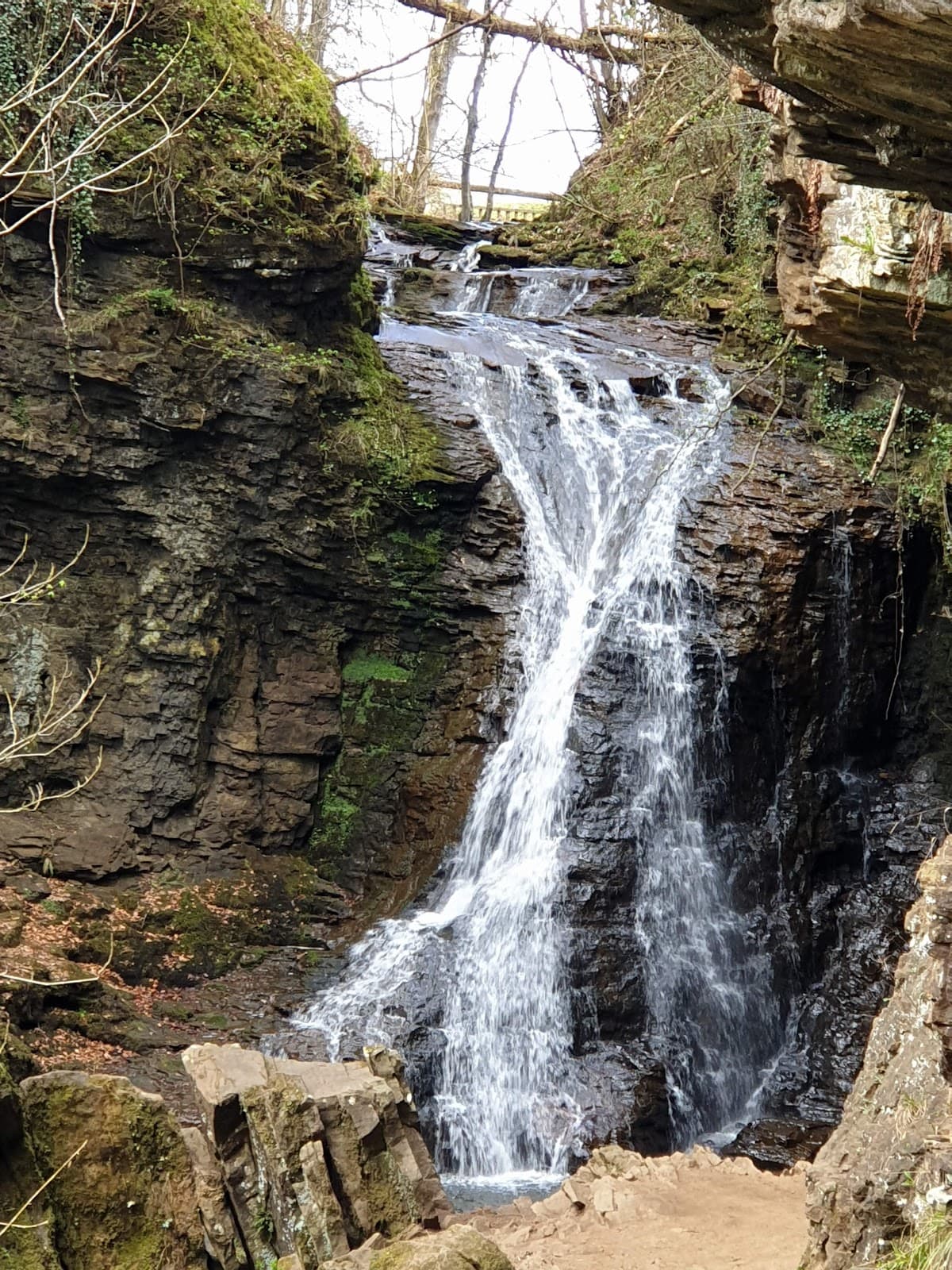 Hareshaw Linn - Image 1