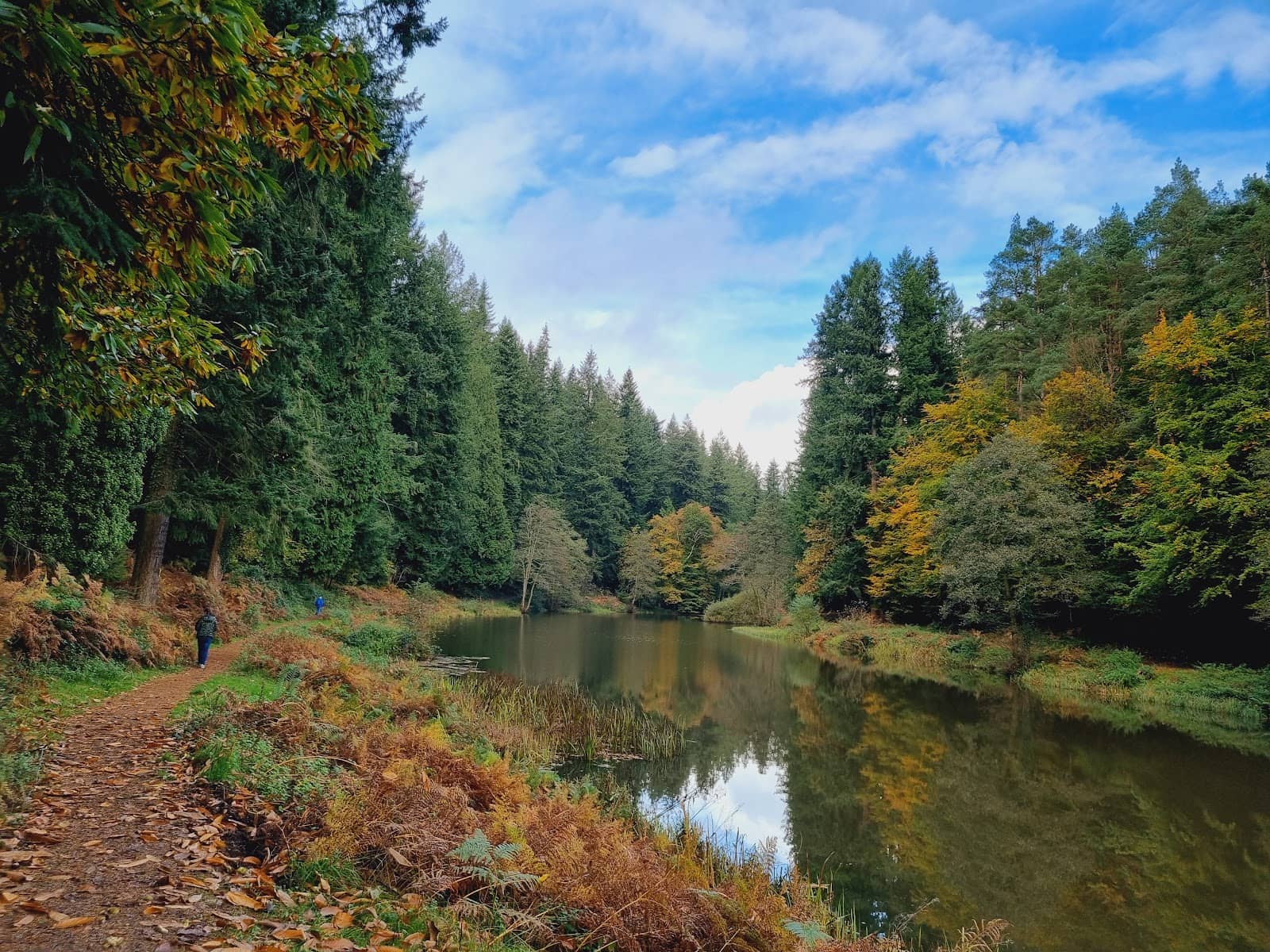 Blaize Bailey Viewpoint