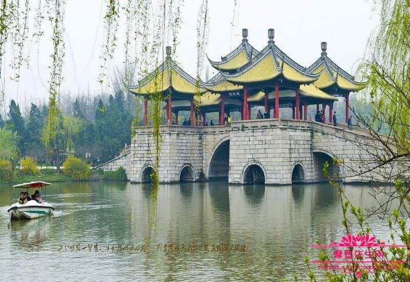 Manjuelong Osmanthus Village - Image 1