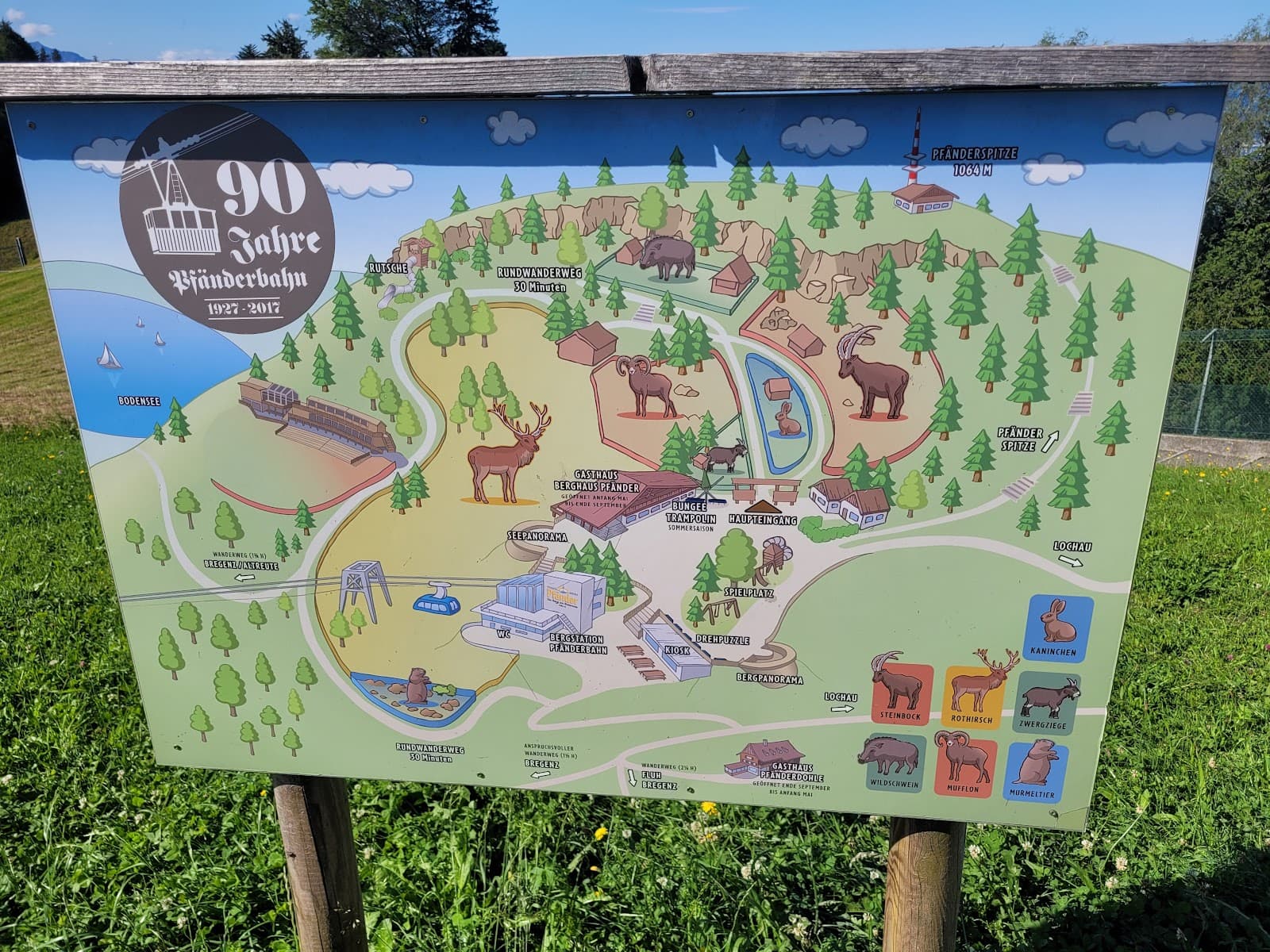 Alpenwildpark Pfänder - Image 1