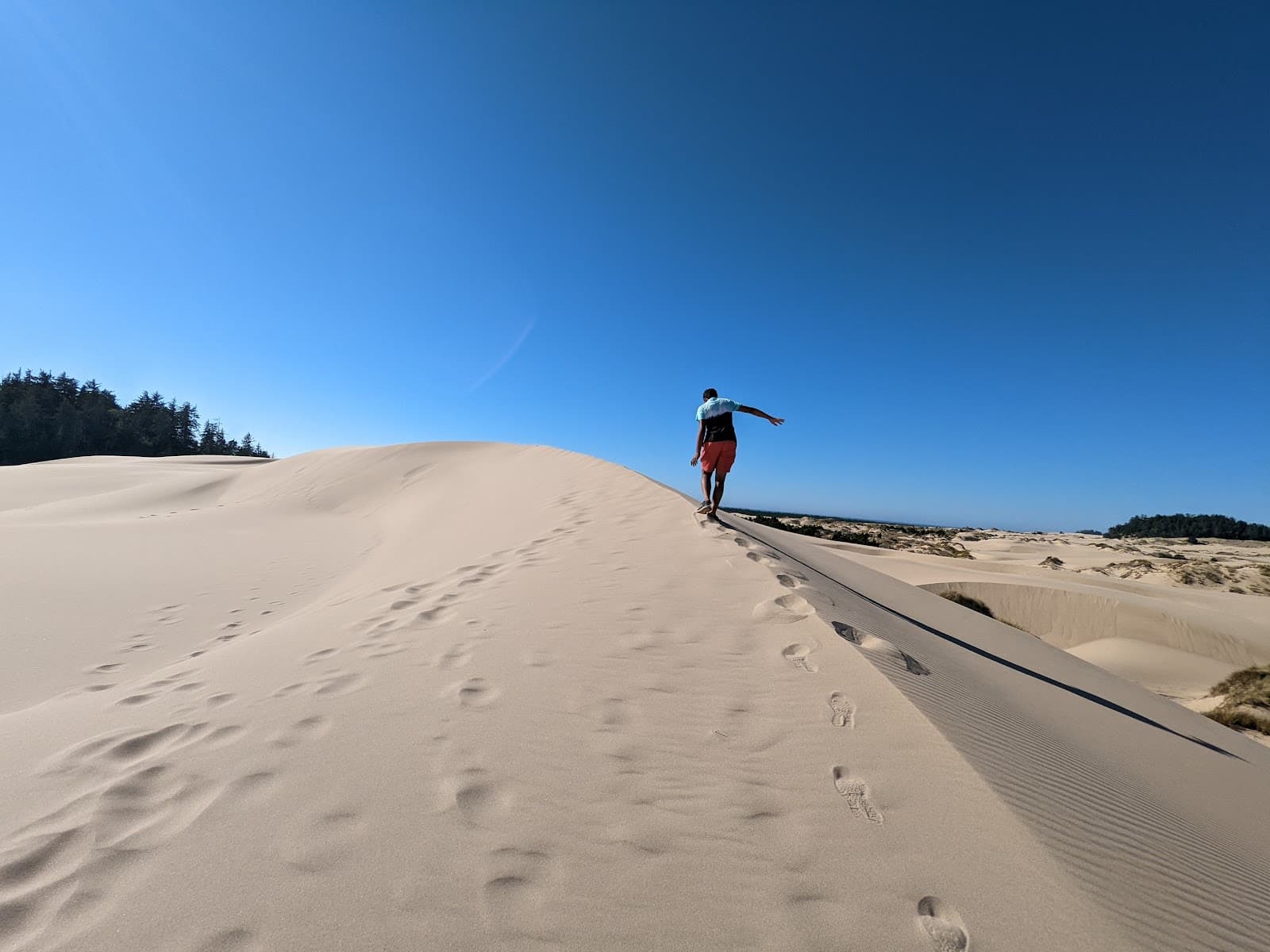 John Dellenback Dunes Trail - Image 1
