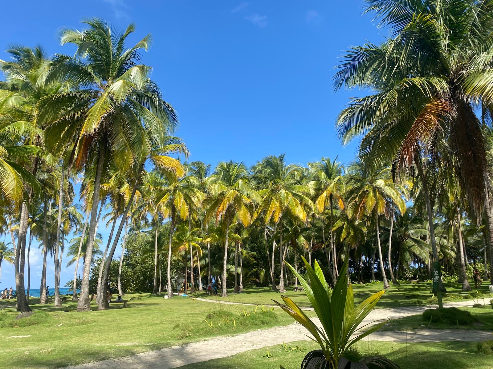 Johnny Cay Regional Park San Andrés - Image 1