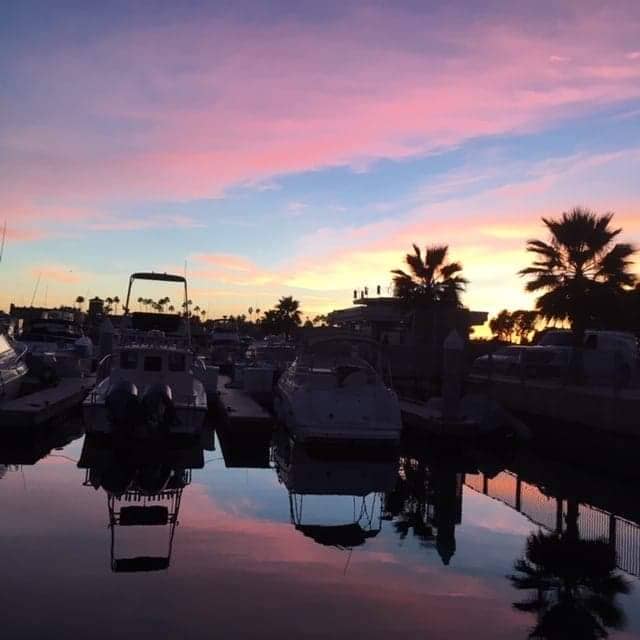 Harbor Christmas Lights