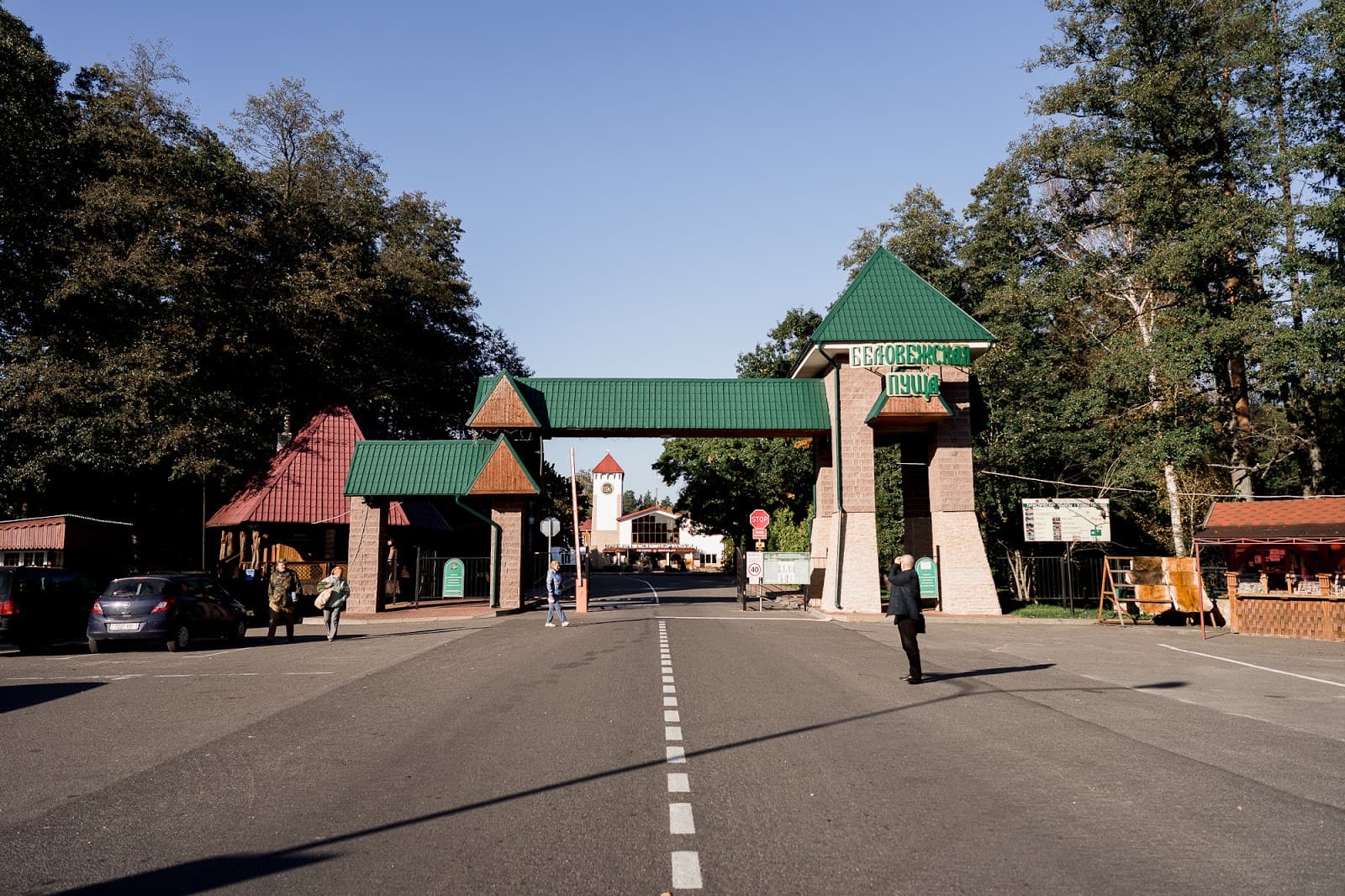 Belovezhskaya Pushcha National Park - Image 1