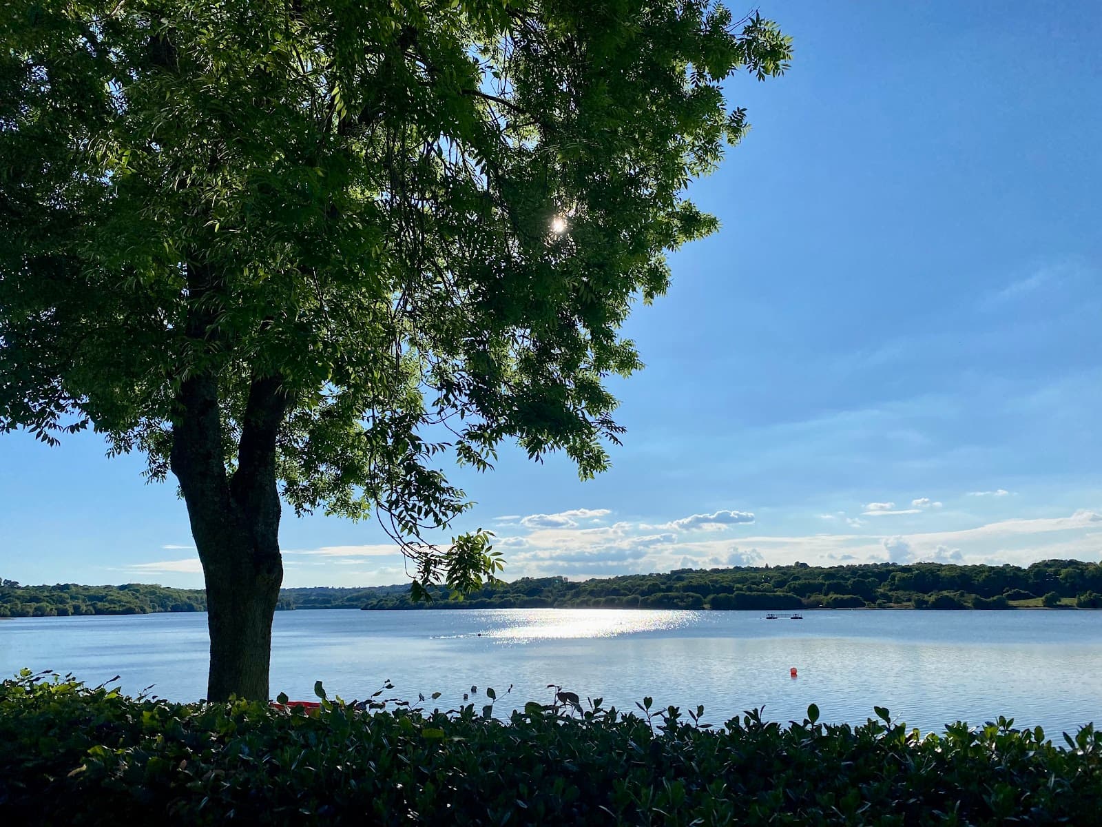 Weir Wood Reservoir - Image 1