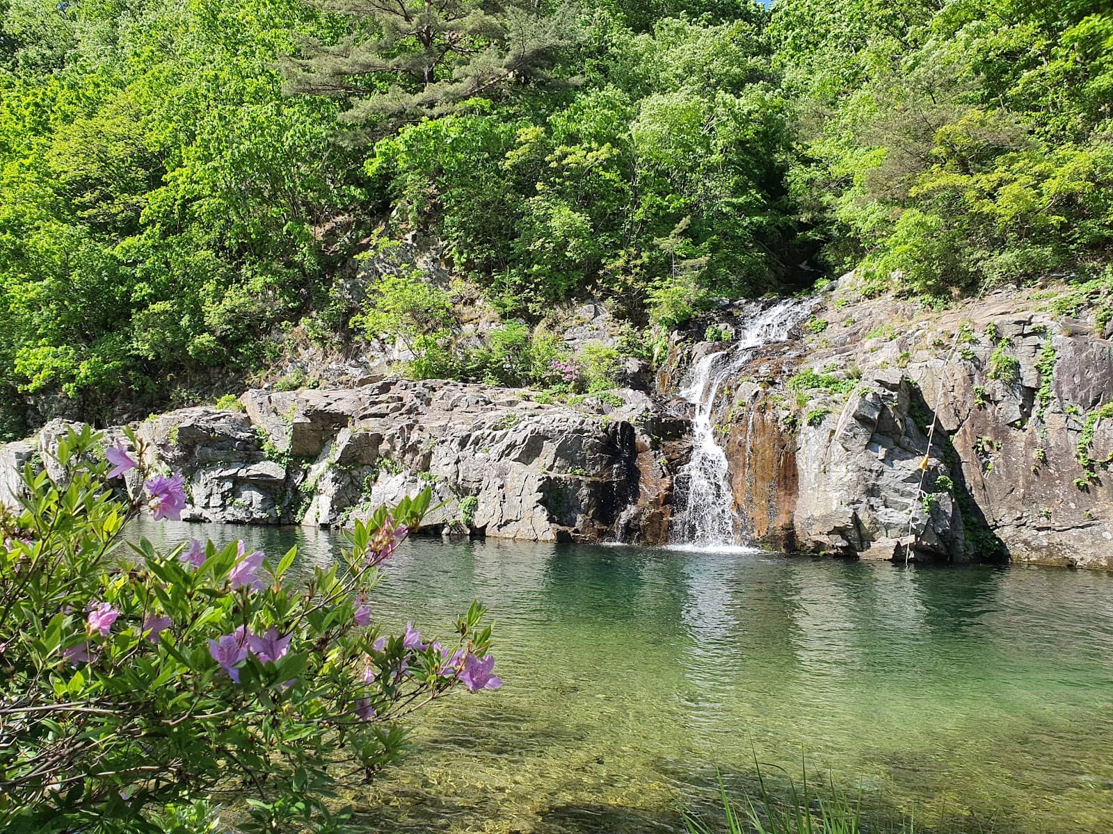 Scenic Walking Trails