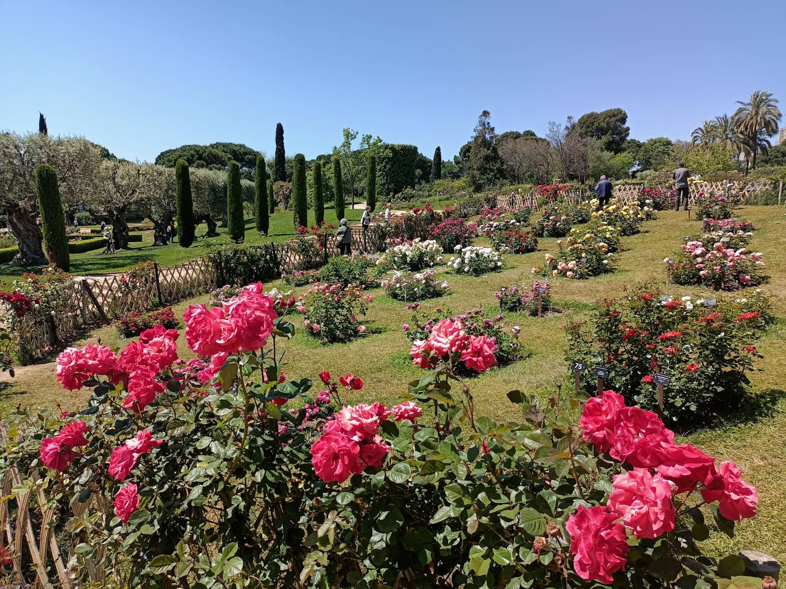 Tranquil Walking Paths