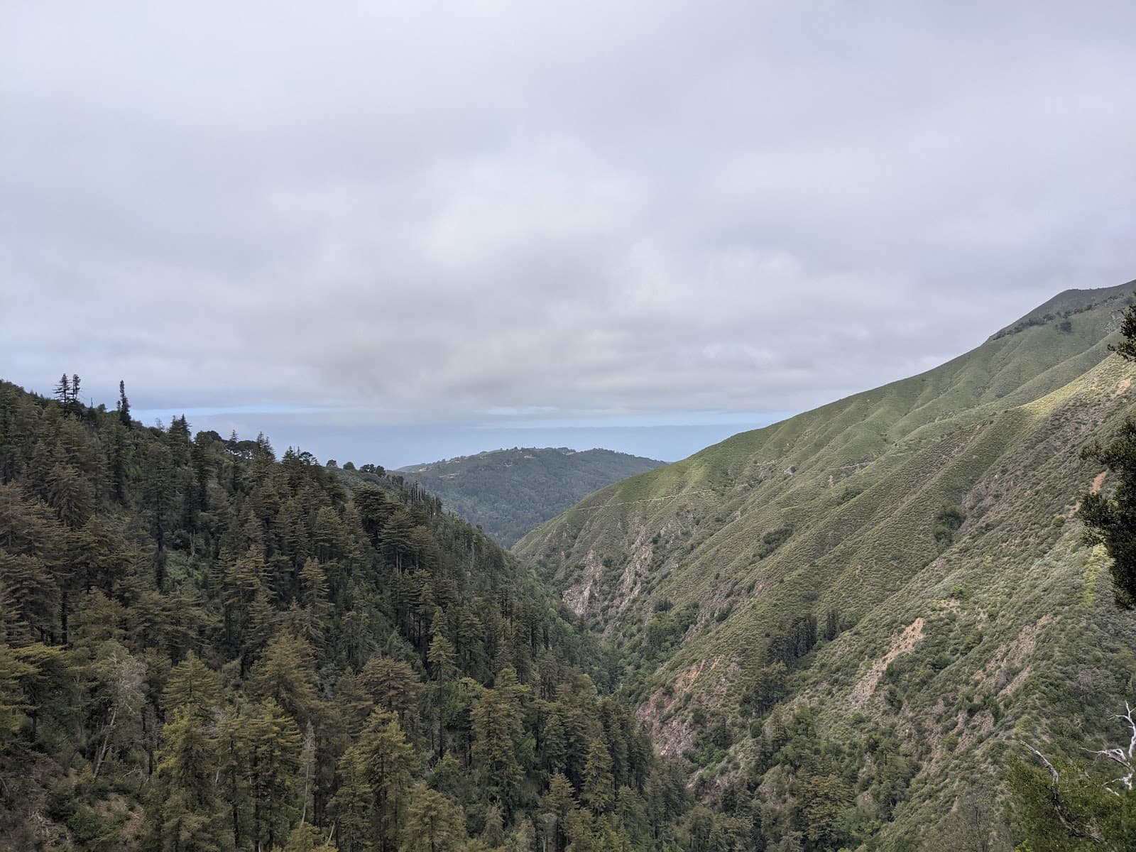 Ventana Wilderness - Image 1