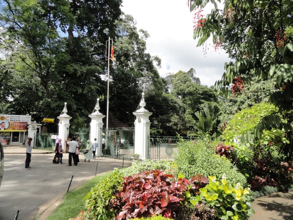 Peradeniya Sri Lanka - Image 1