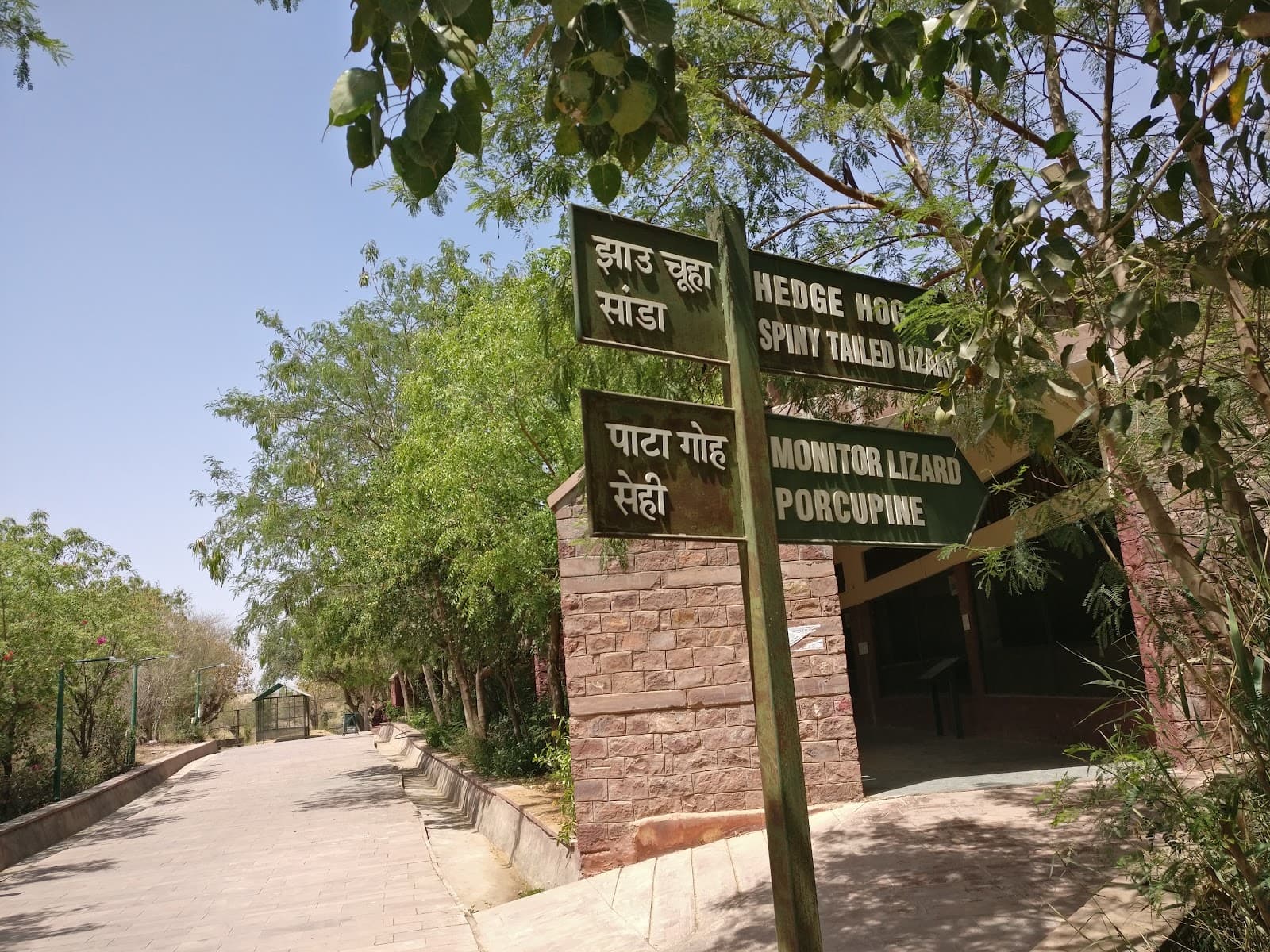 Machia Biological Park Jodhpur - Image 1