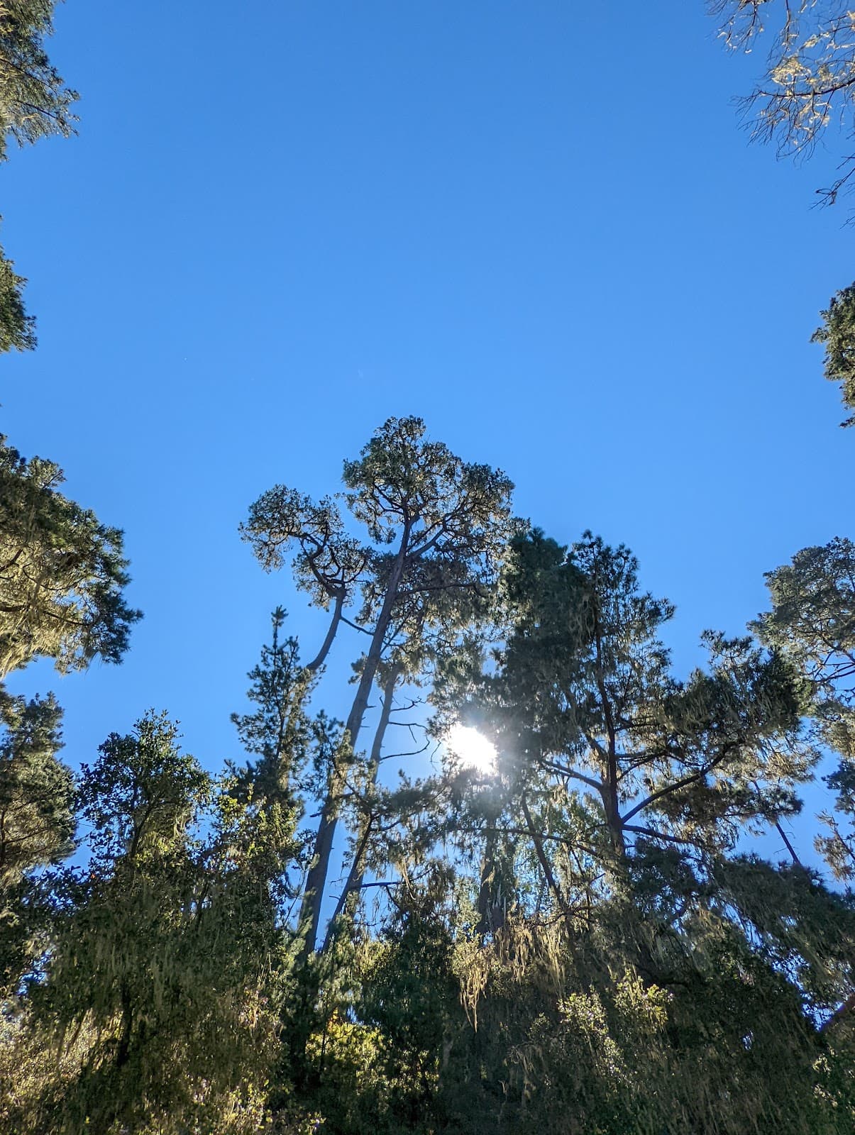 Santa Rosa Creek Beach - Image 1