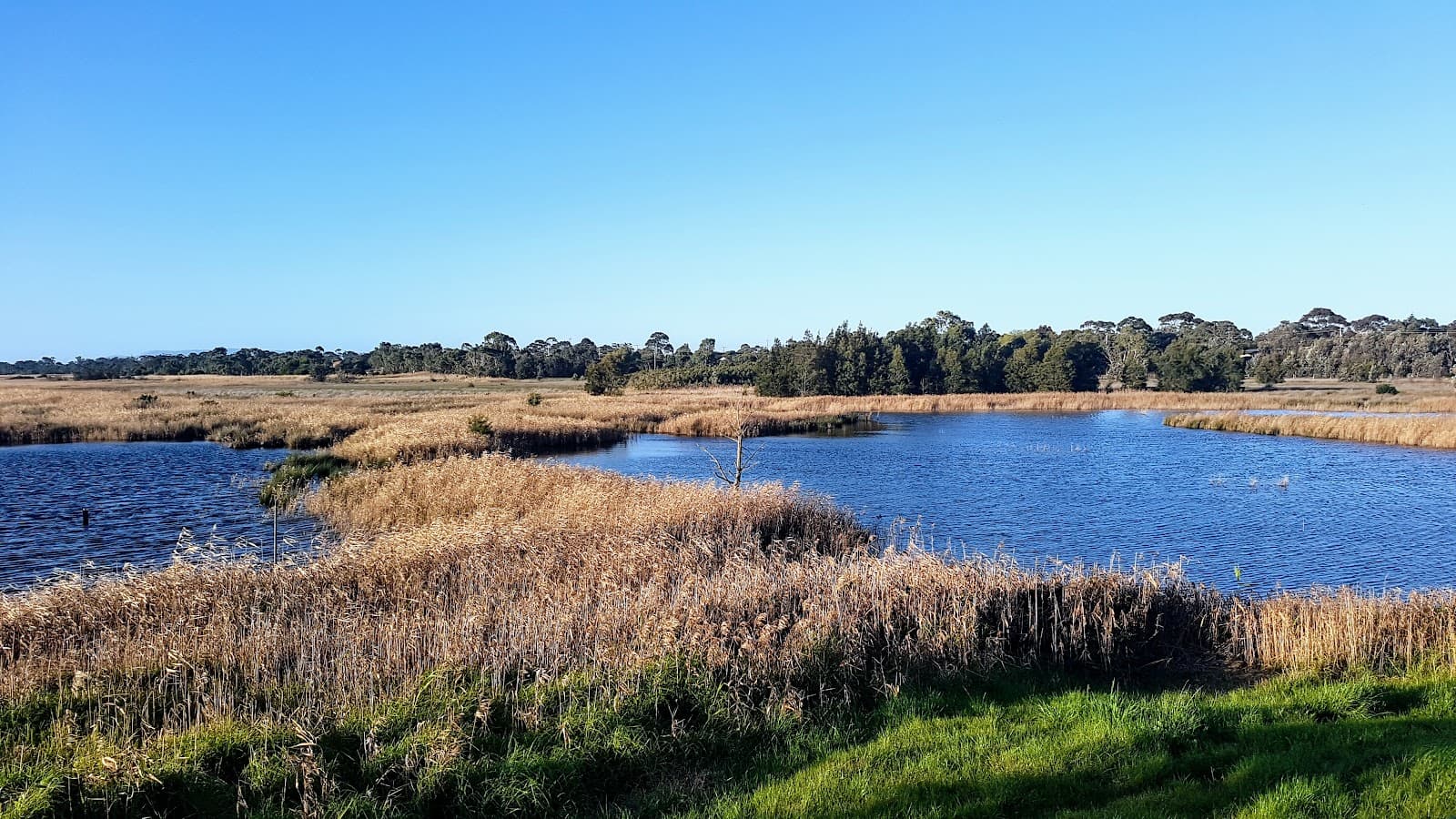 Seaford Wetlands - Image 1