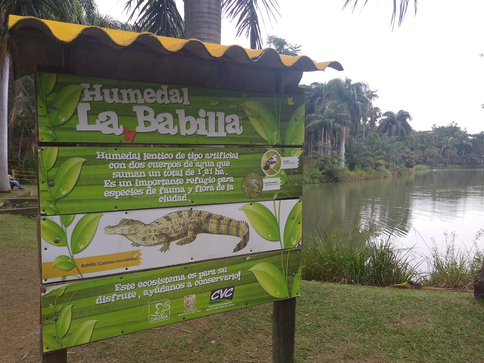 Parque La Babilla - Image 1