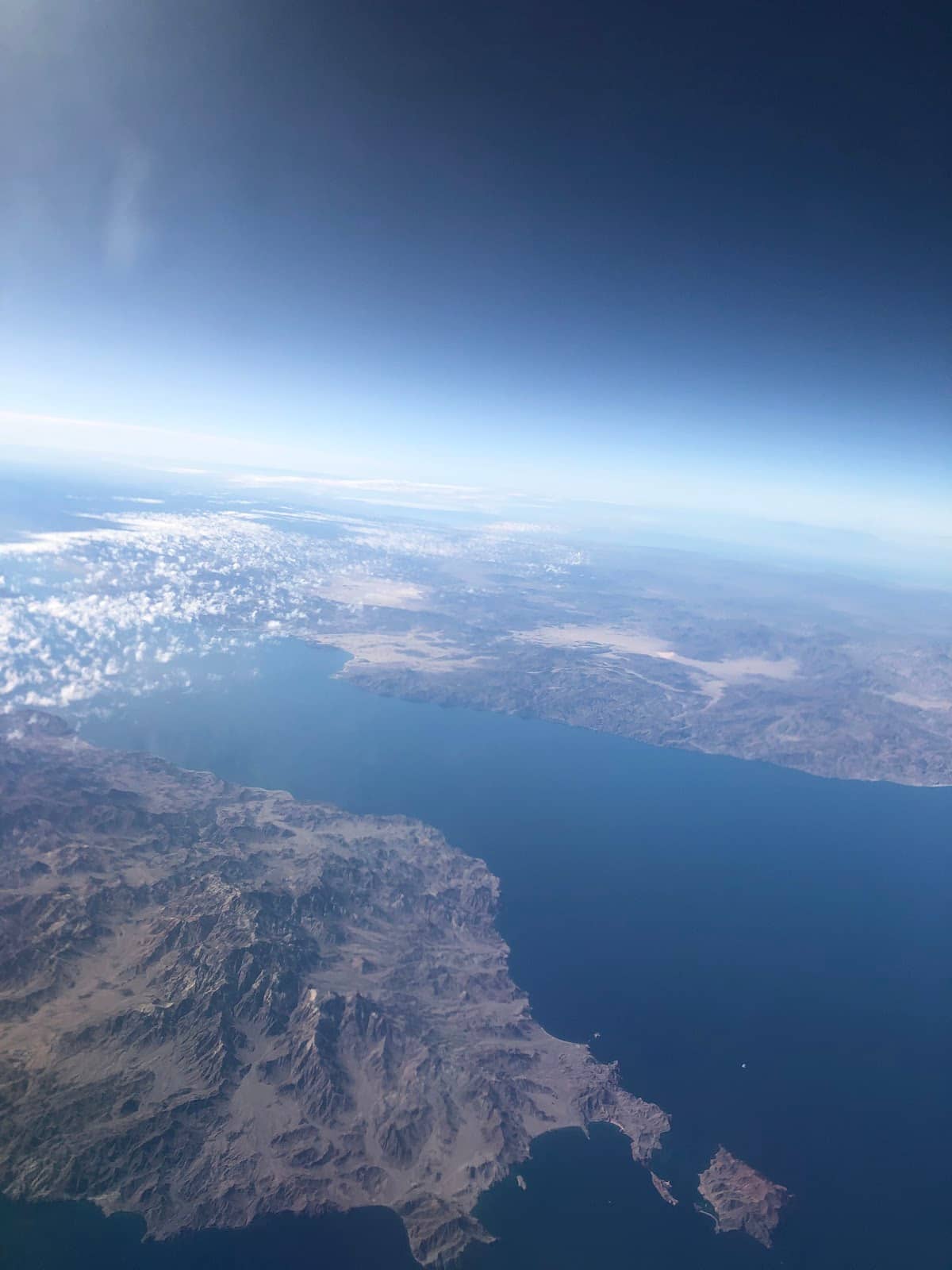 Gulf of California Marine Life