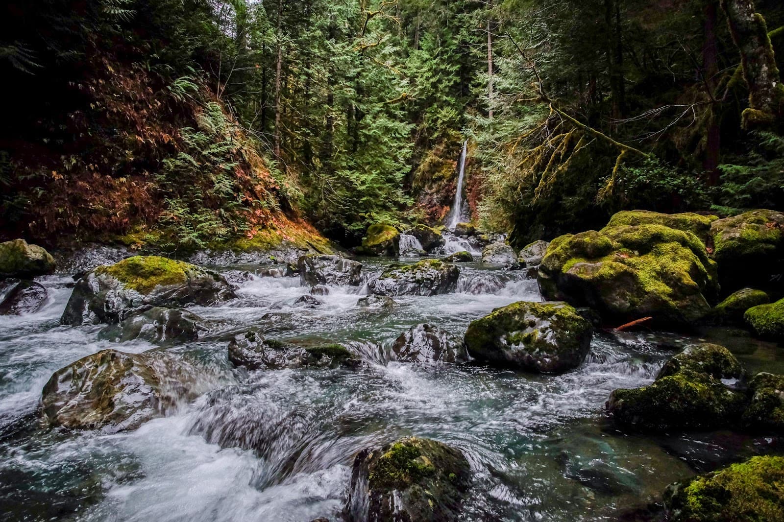 Rosewall Creek Provincial Park - Image 1