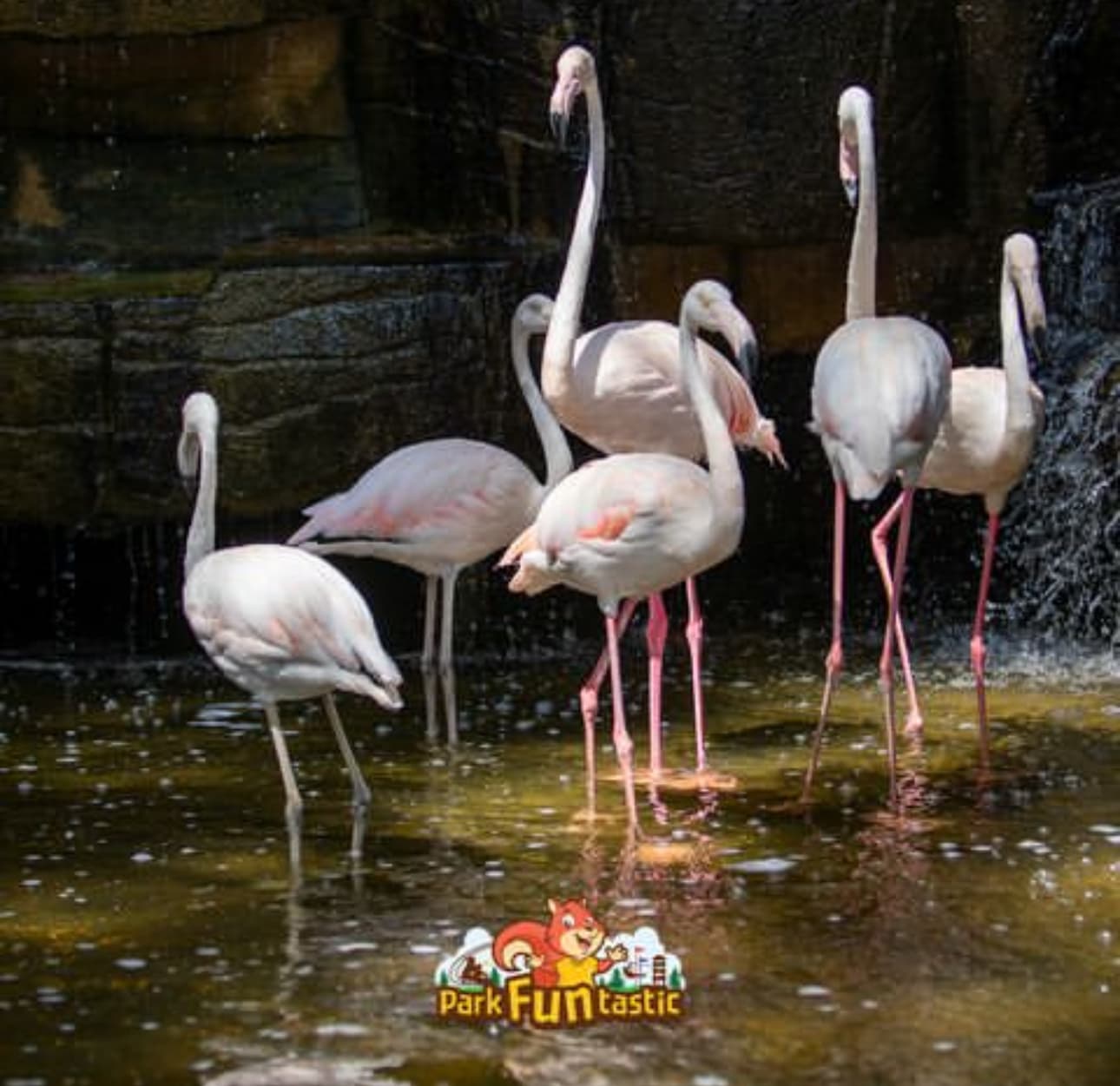 Antalya Safari Park - Image 1