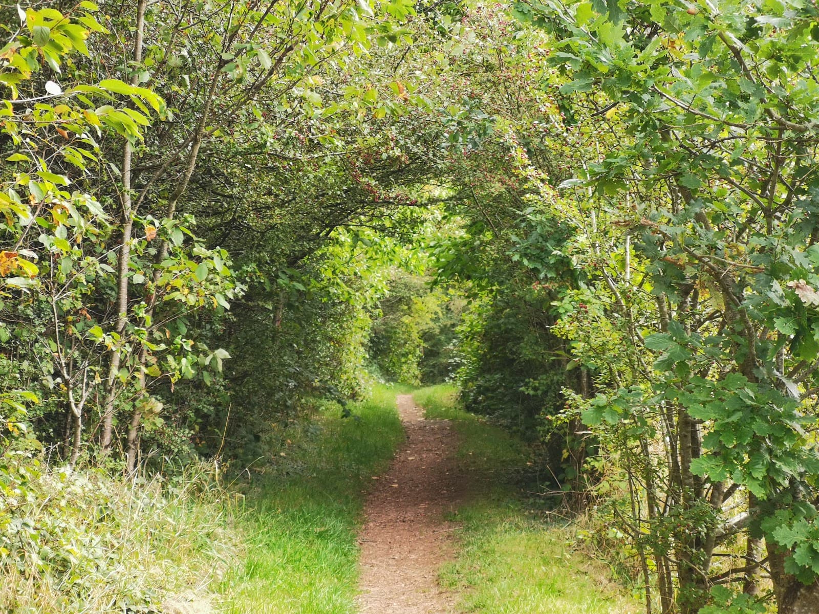 Shire Brook Valley Nature Reserve - Image 1