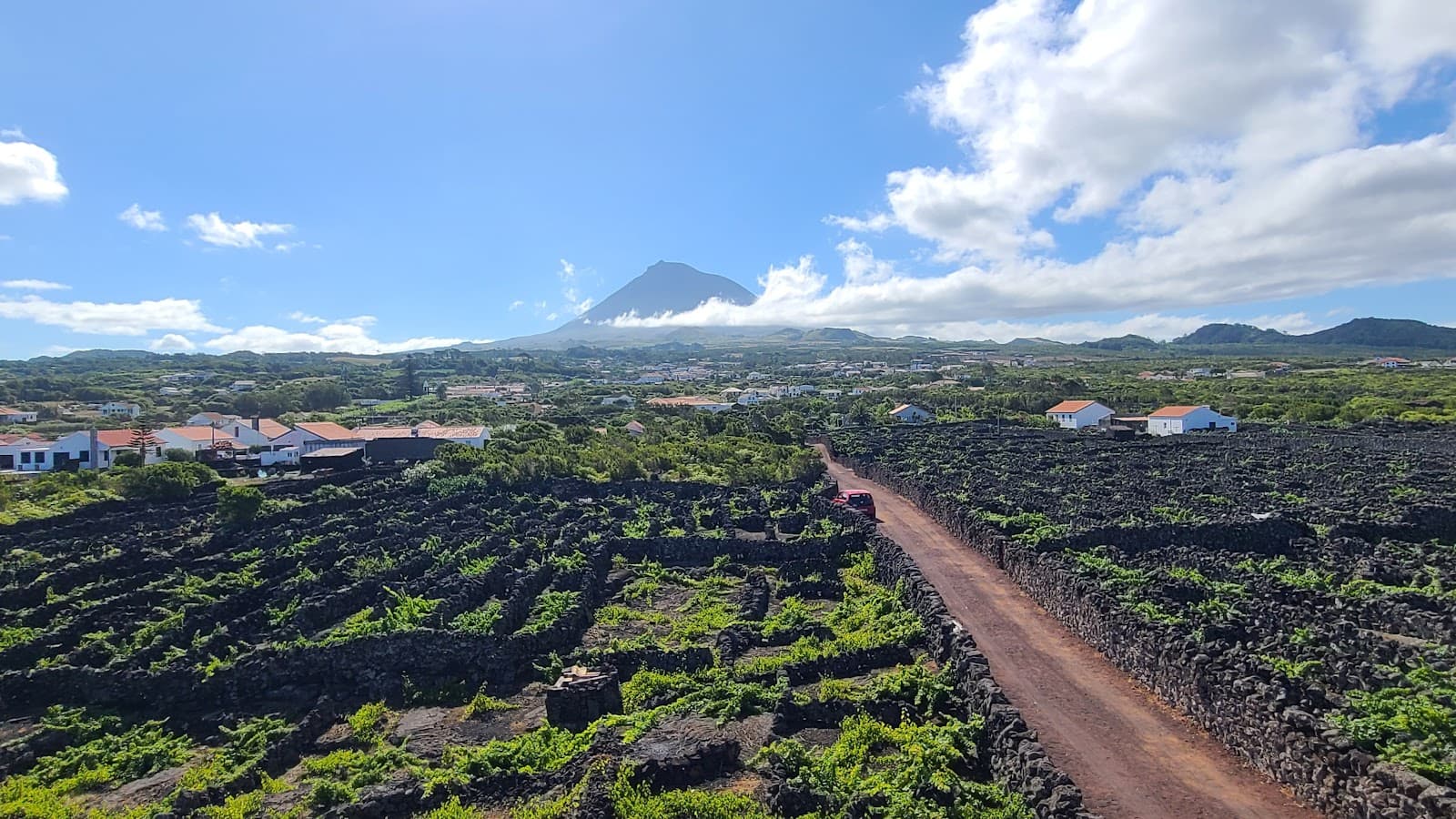 Pico Vineyard Culture Landscape - Image 1