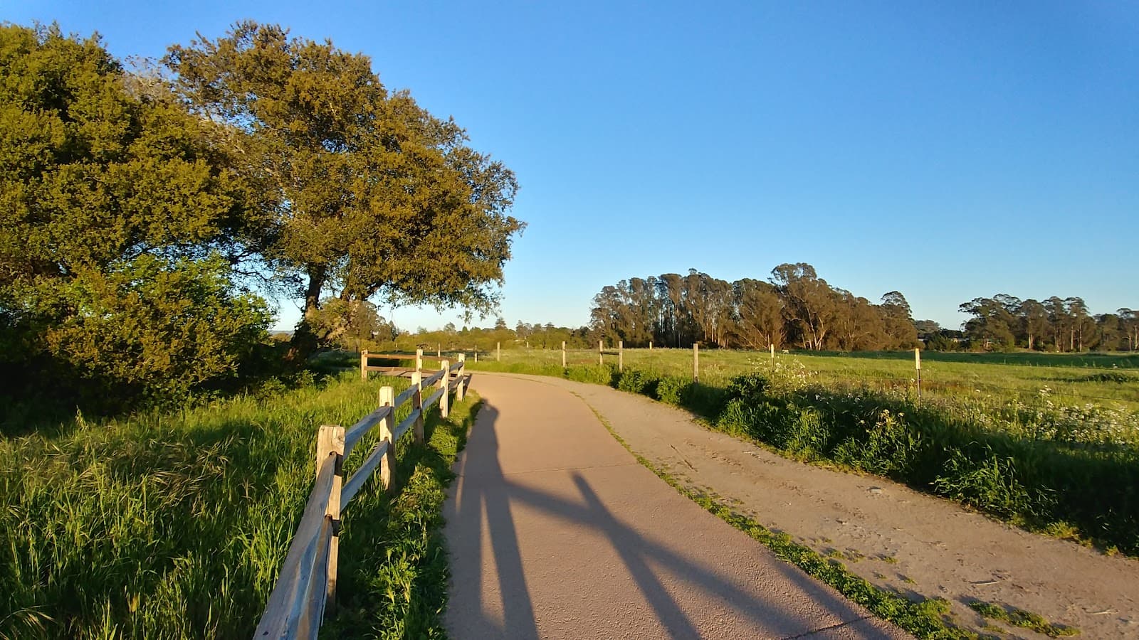 Arana Gulch Open Space Santa Cruz - Image 1