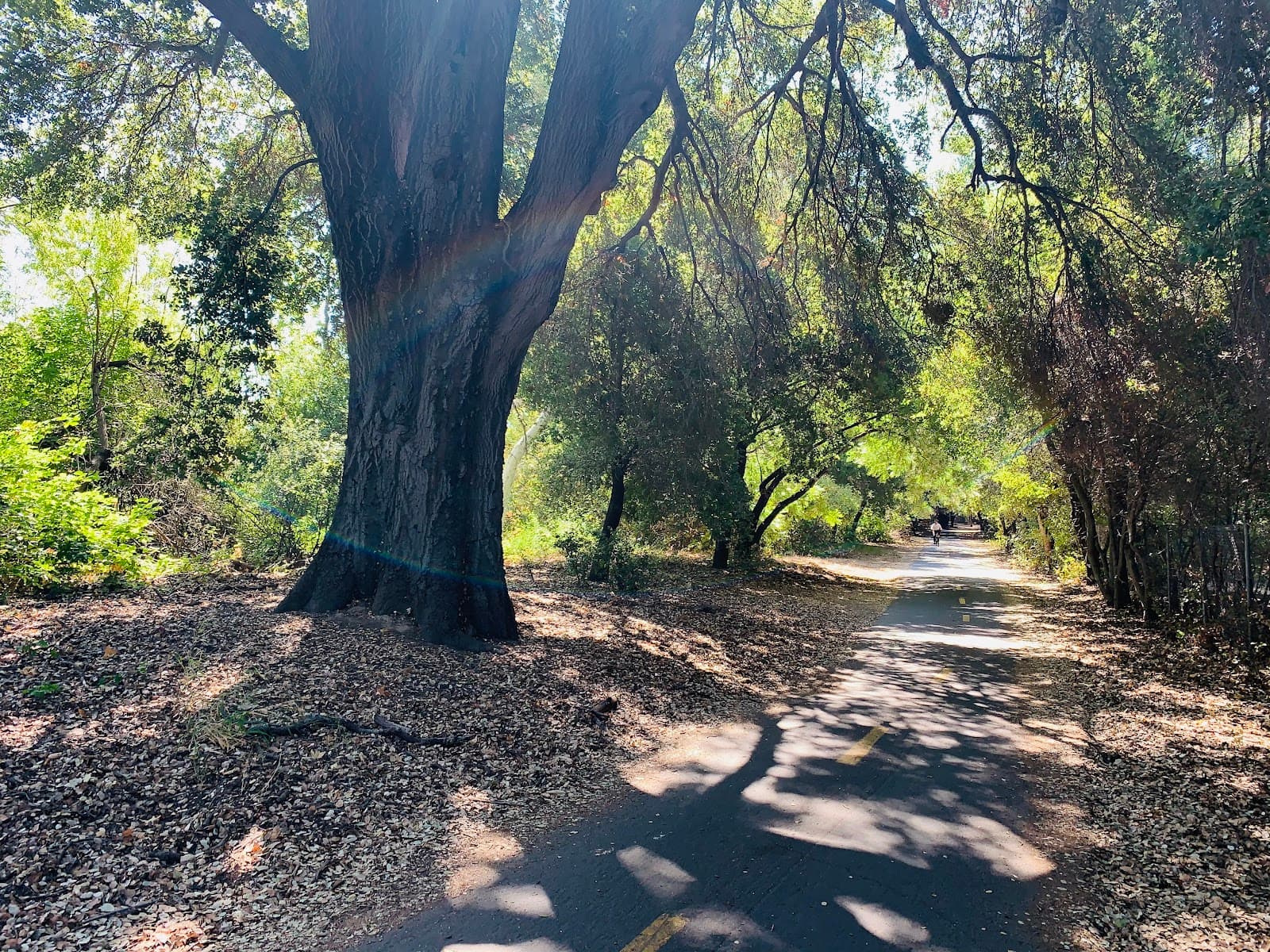 Coyote Creek Trail - Image 1