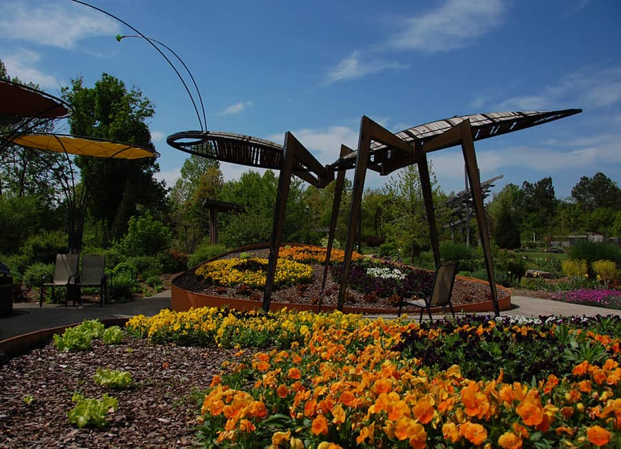 Central Lawn & Pathways