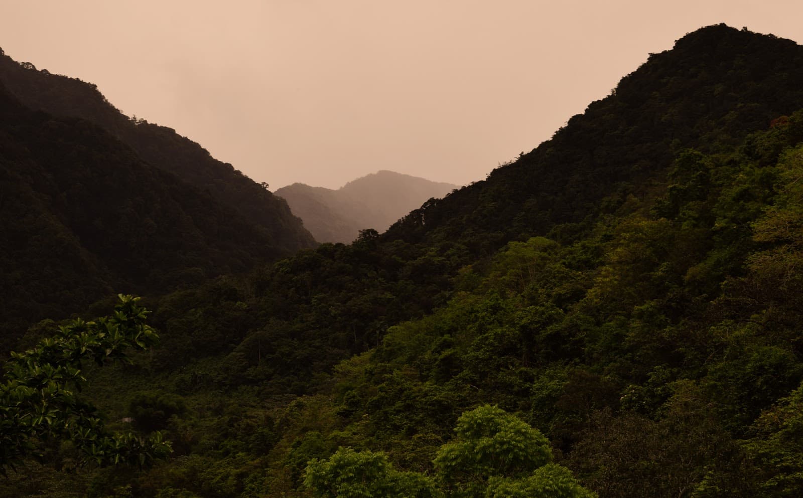 Habitation La Grivelière - Image 1