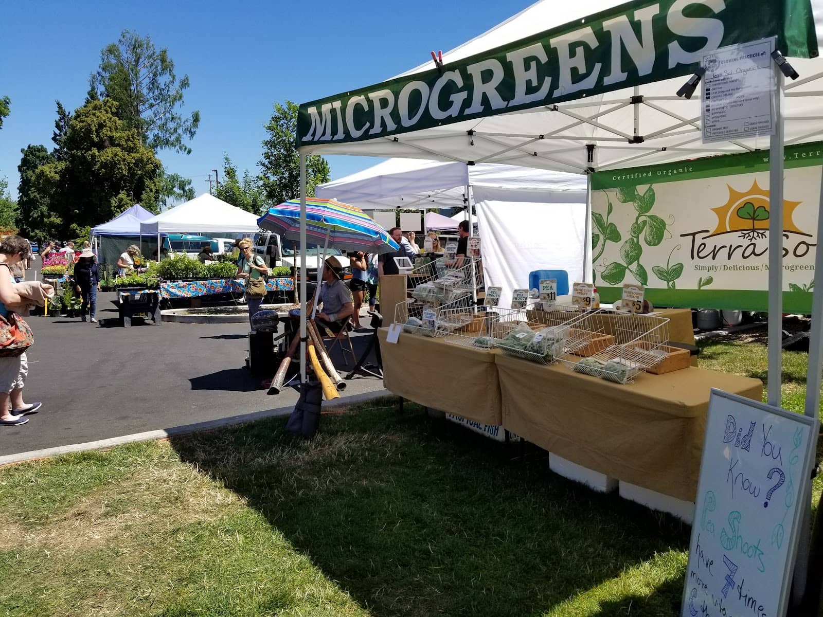 Wood-Fired Pizza & Food Trucks