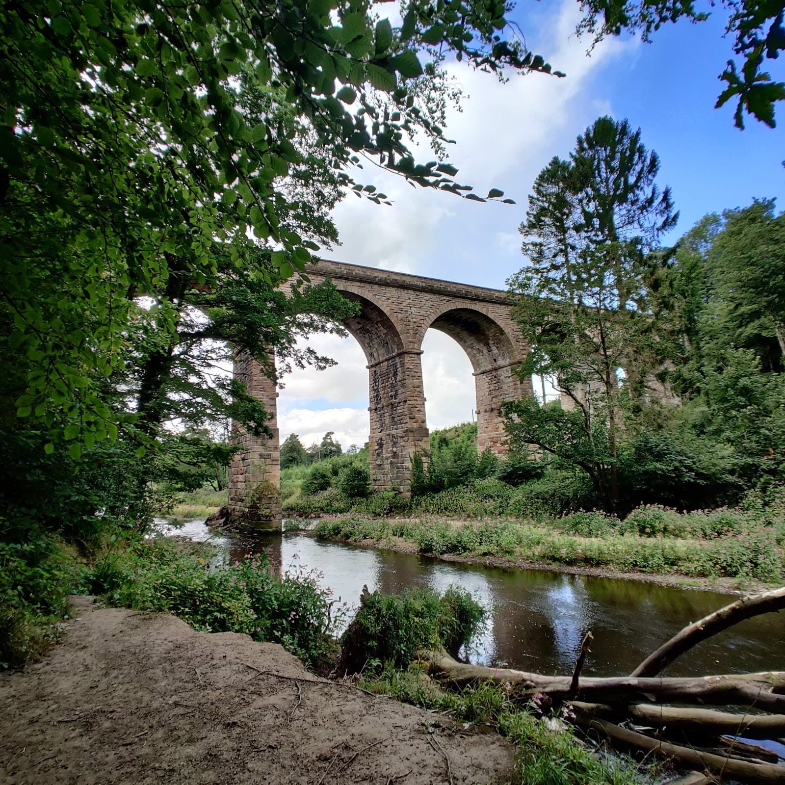 Bilton Viaduct - Image 1