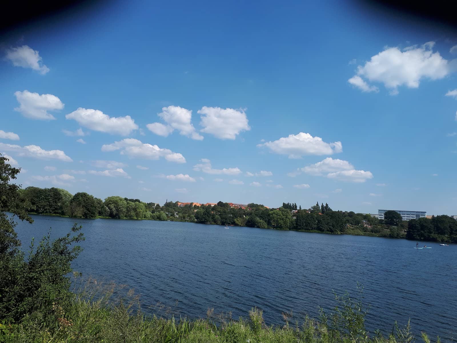 Family-Friendly Playgrounds