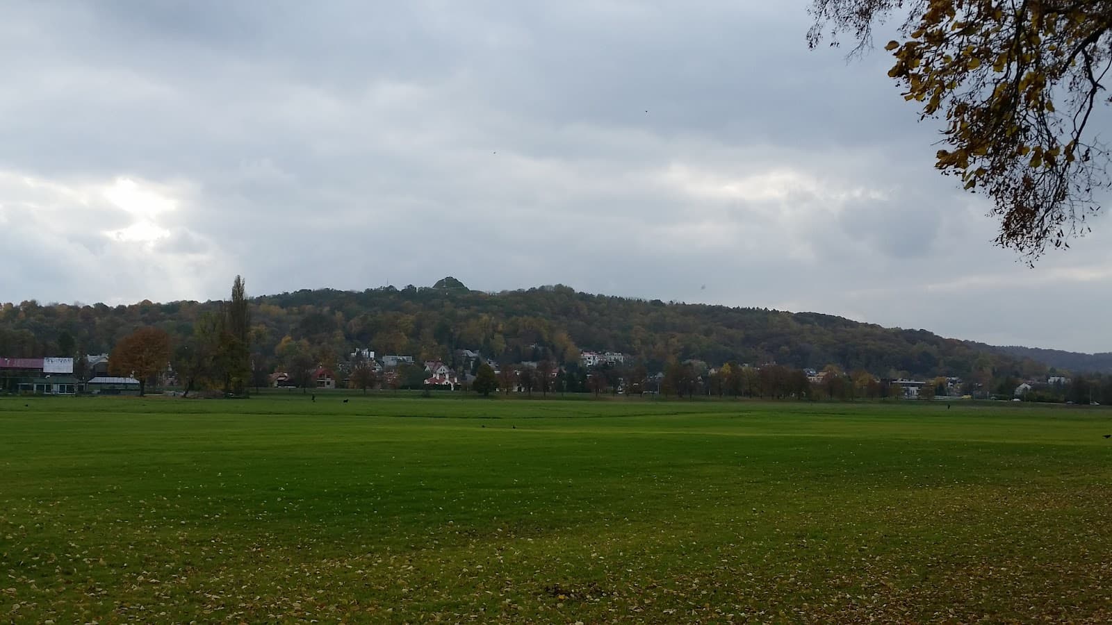 Błonia Meadow Kraków - Image 1