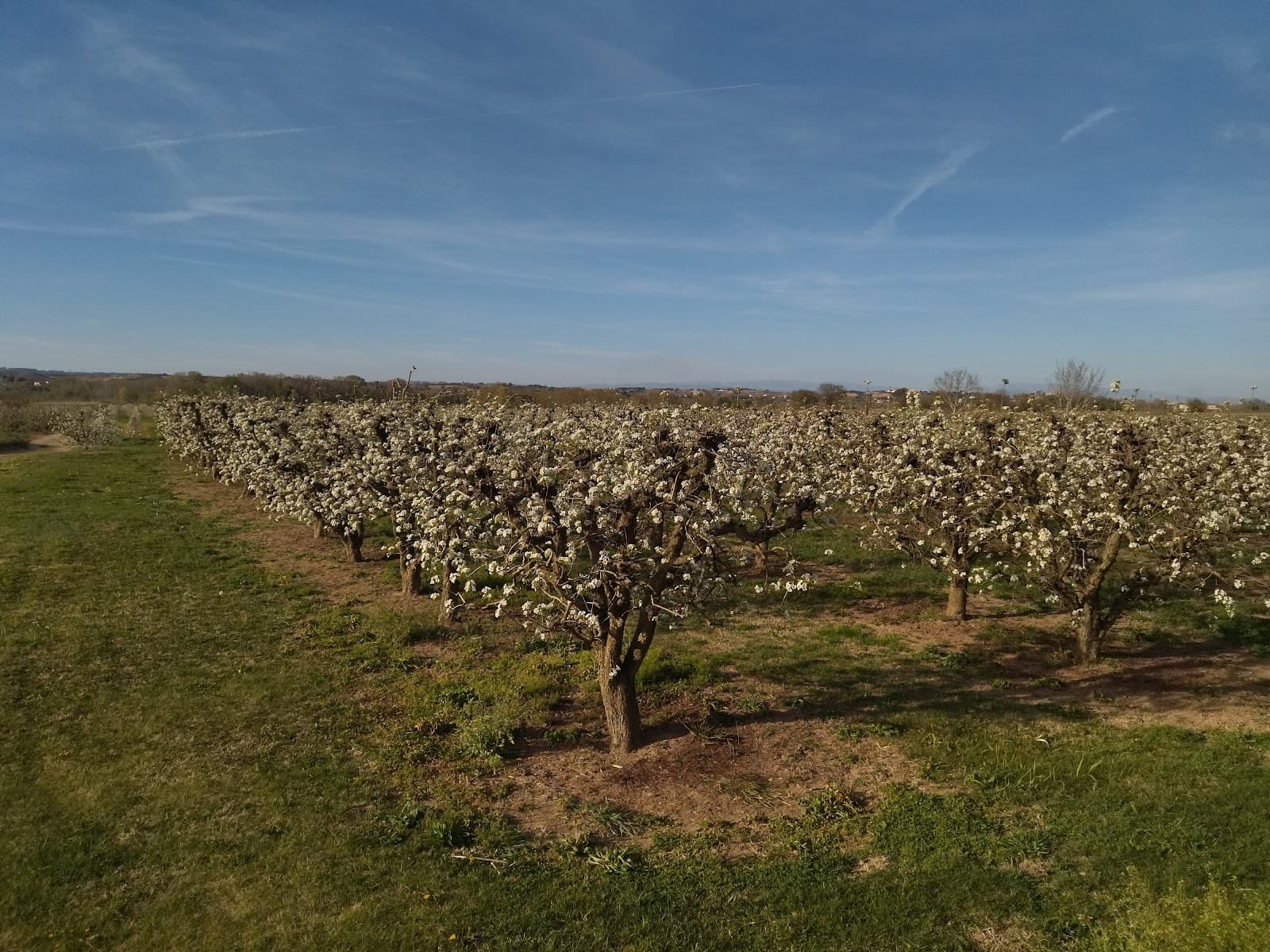 Horta de Lleida - Image 1