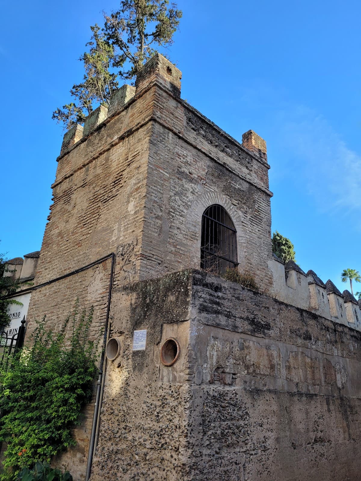 Callejón del Agua Seville - Image 1