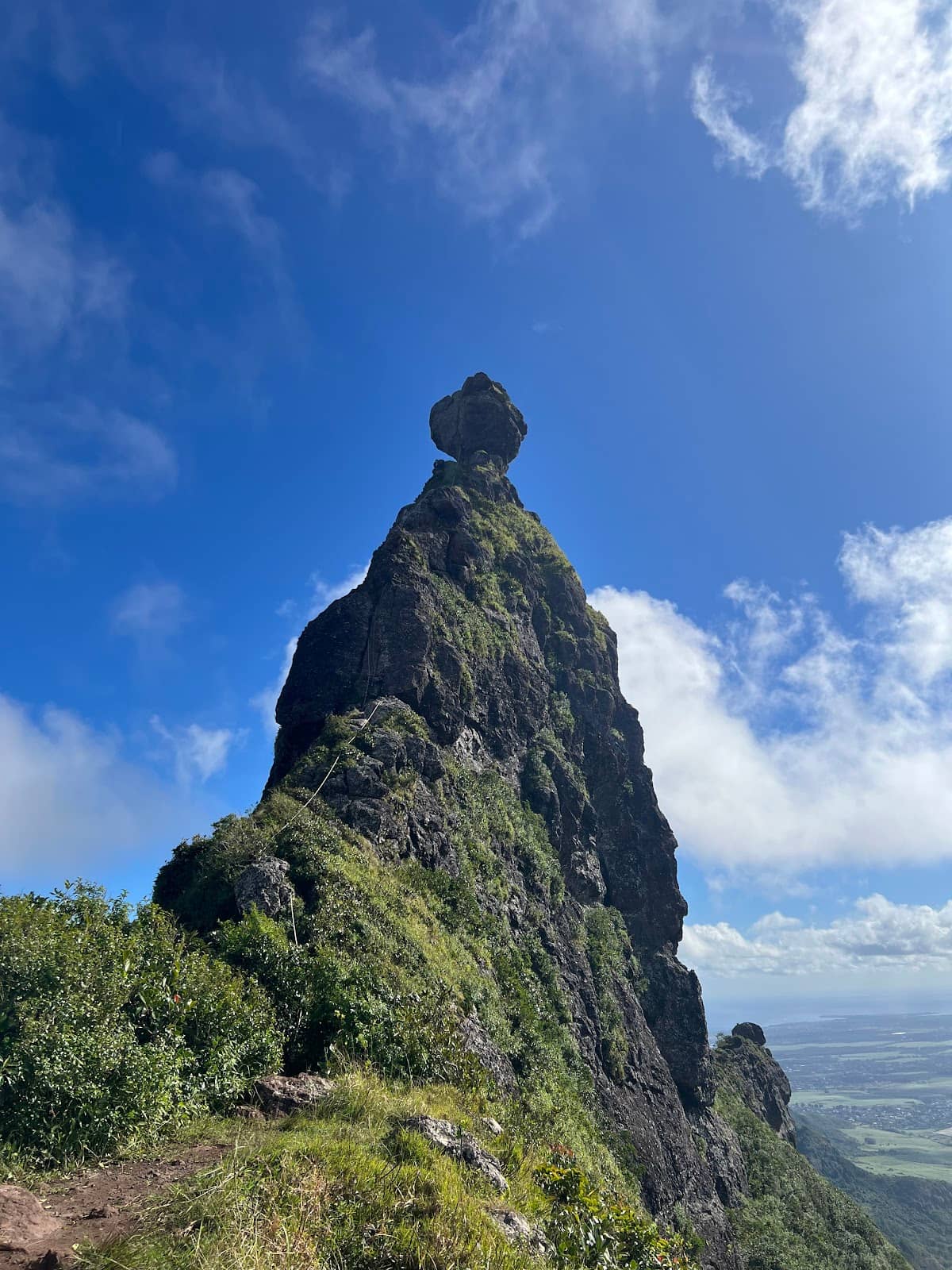 Vertical photo