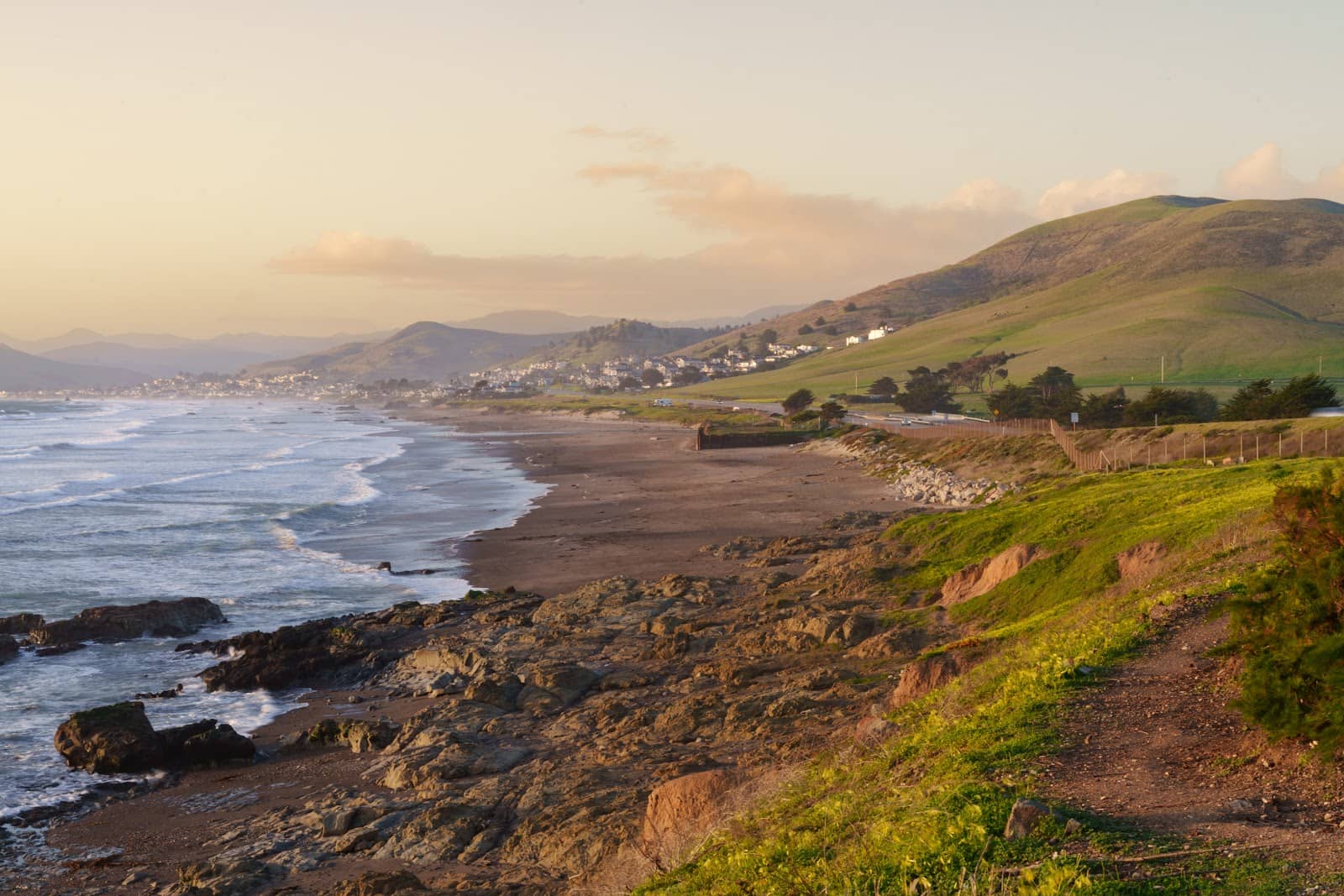 Dog-Friendly Beach Stretch