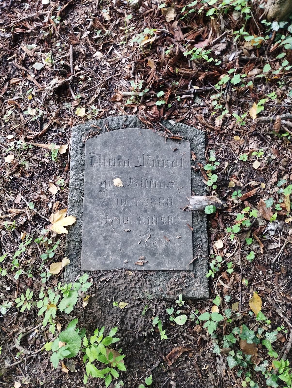Old Cemetery Alter Friedhof - Image 1