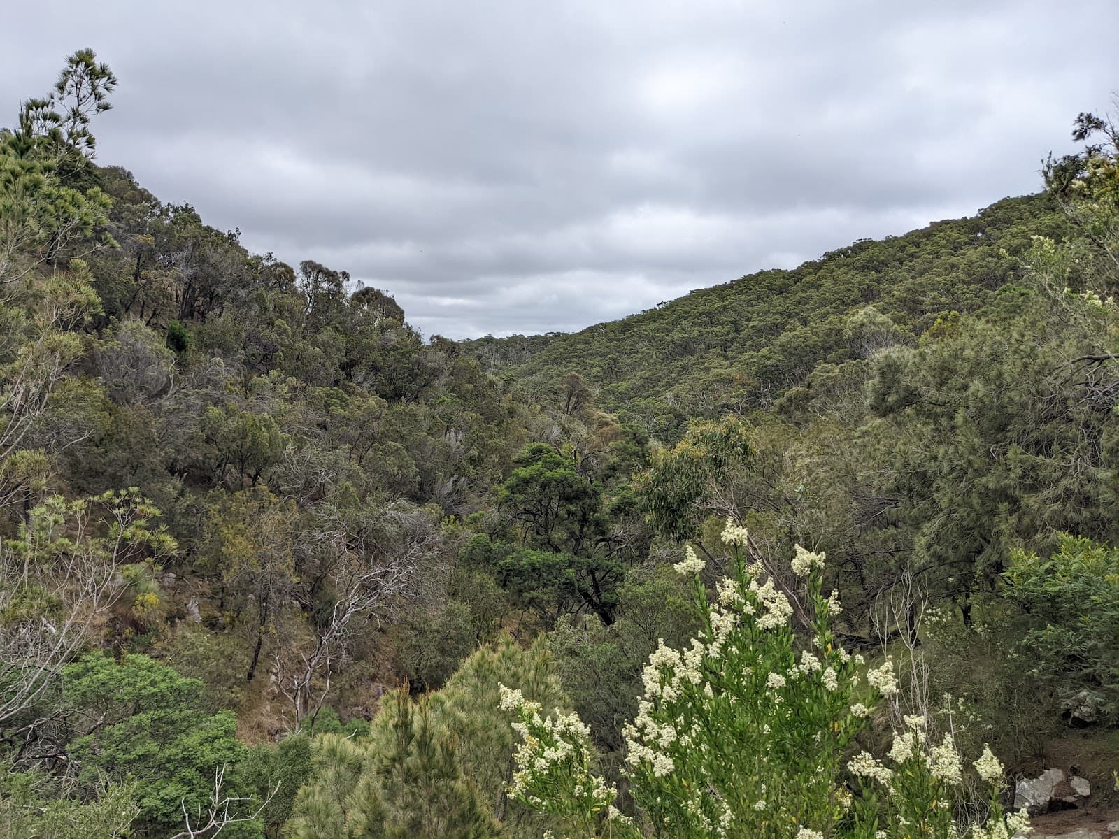 Kings Falls - Image 1