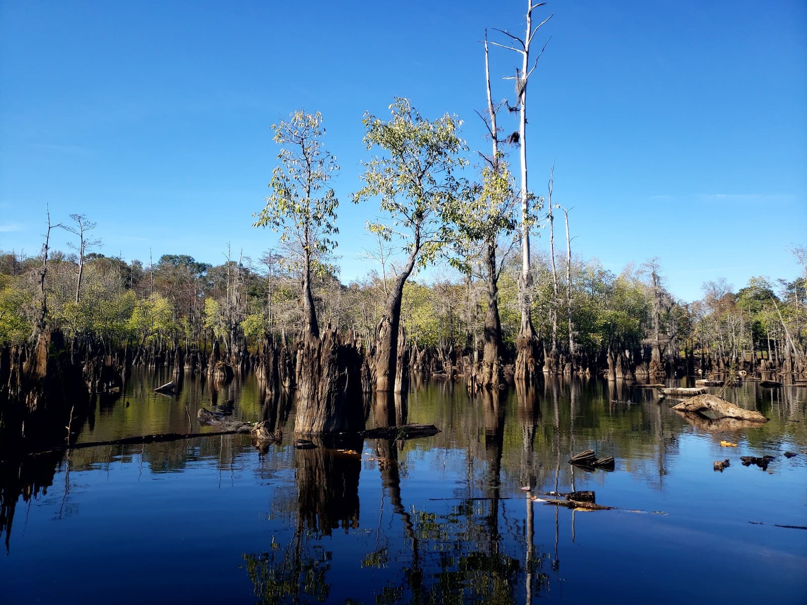 Cheniere Lake Park - Image 1