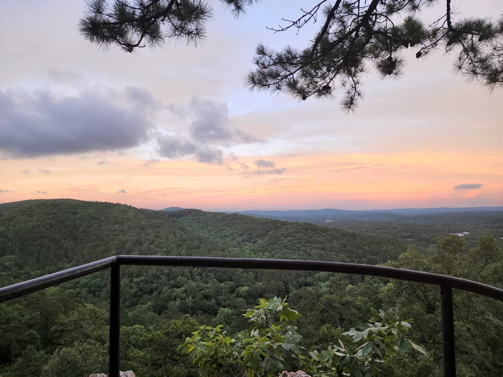 Diverse Native Flora