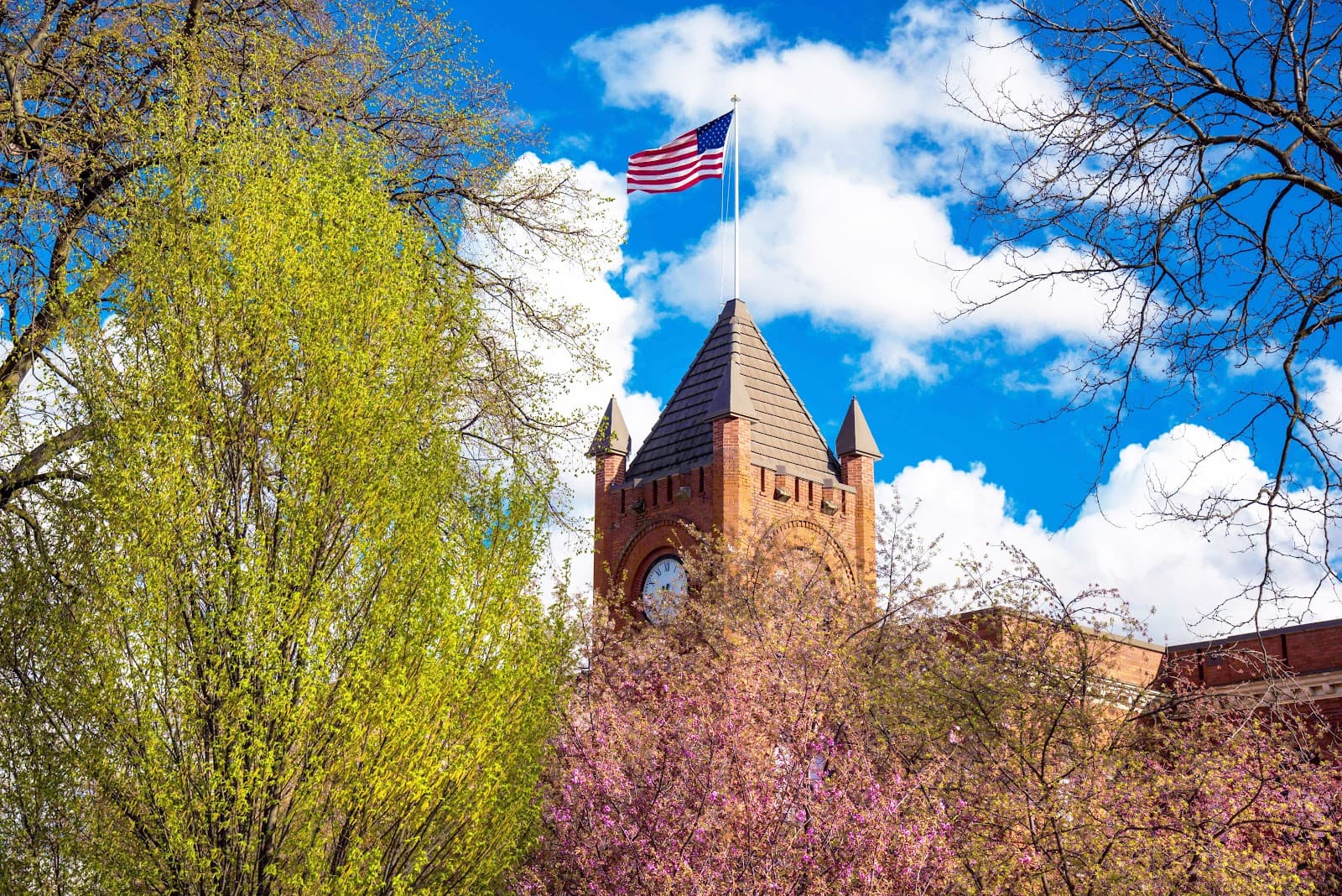 LCSC Campus Historic Core - Image 1