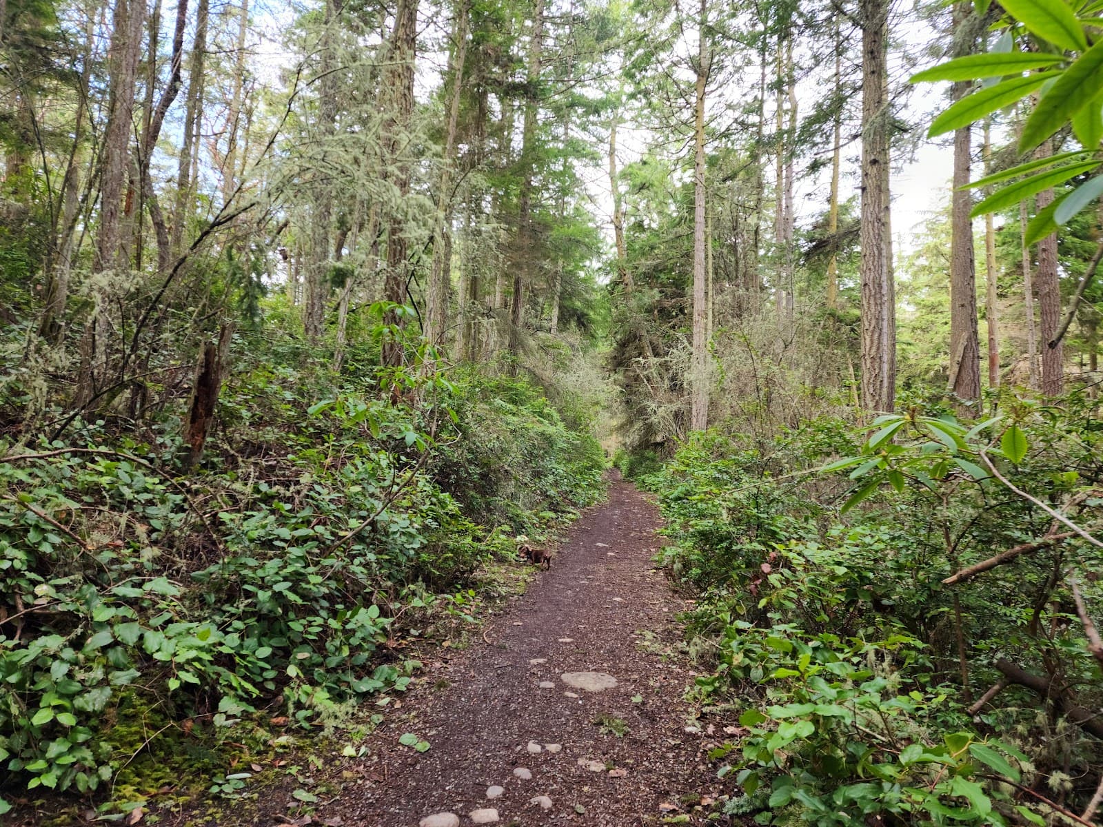 Kettles Trail System - Image 1