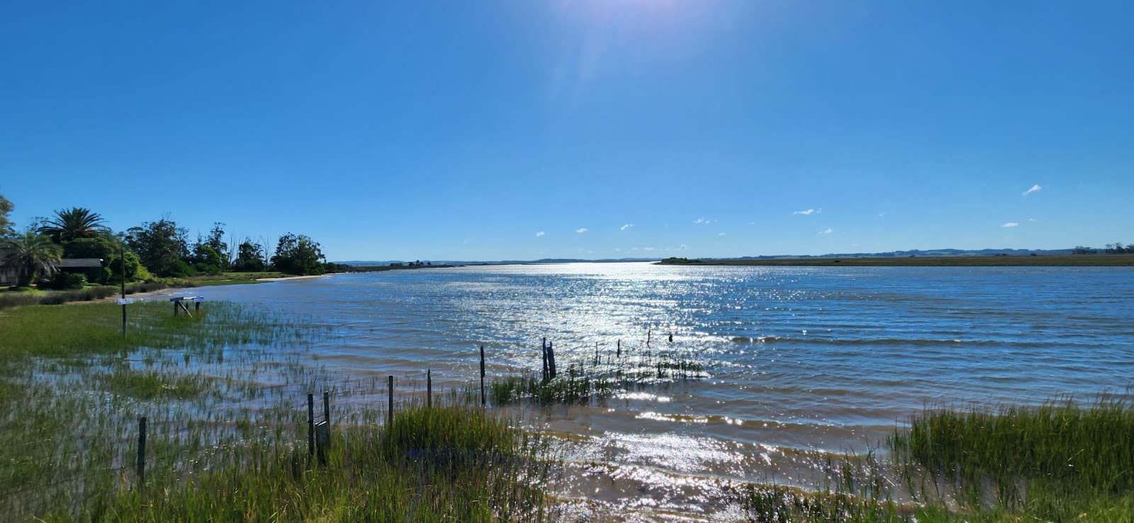 Arroyo Maldonado Wetlands - Image 1