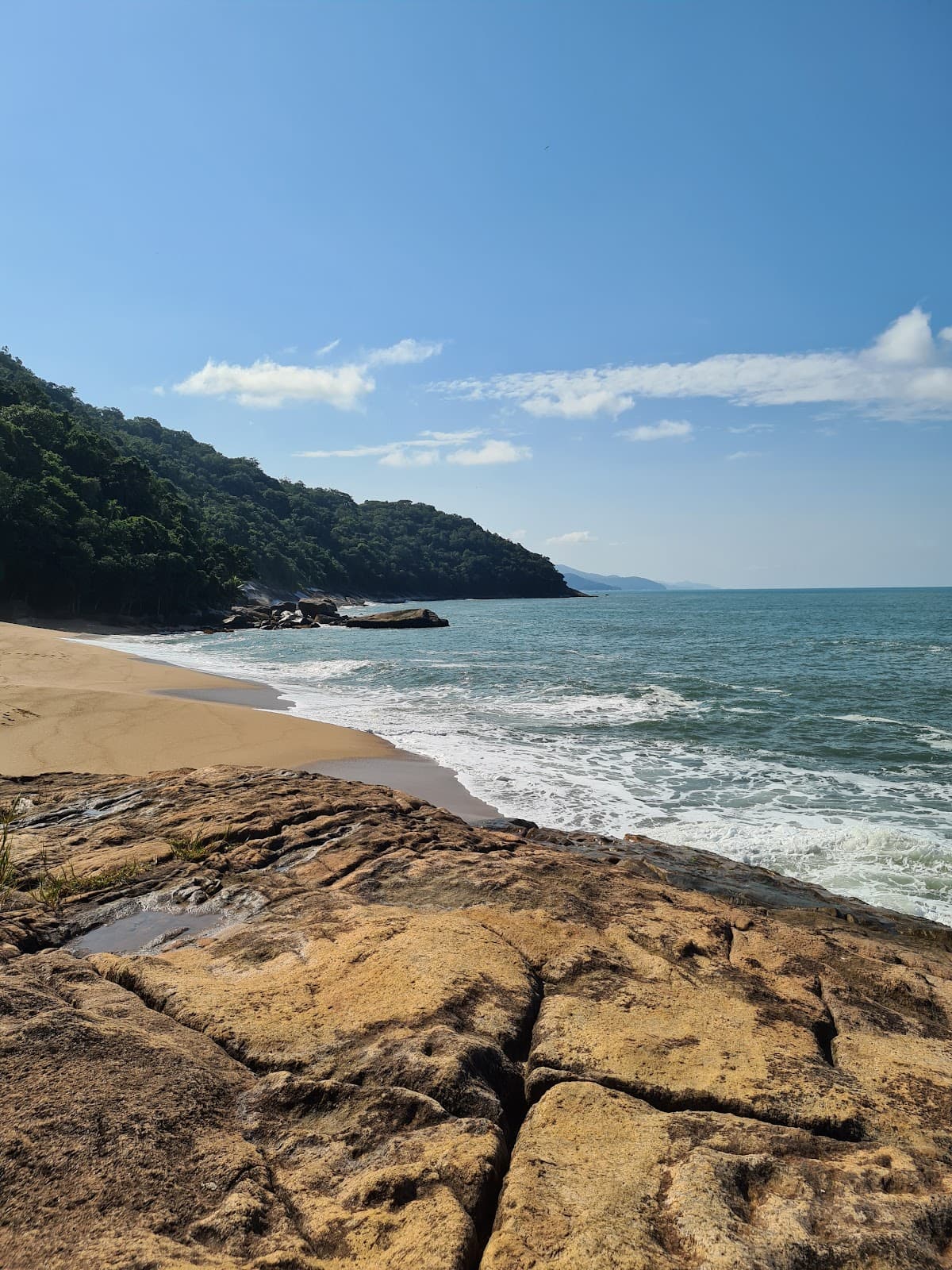 Trilha da Praia Brava - Image 1