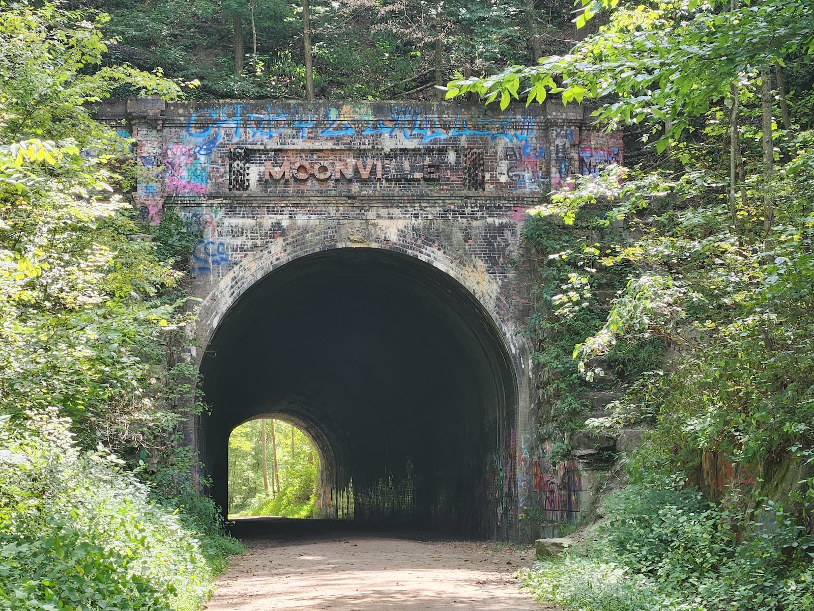 Zaleski State Forest - Image 1