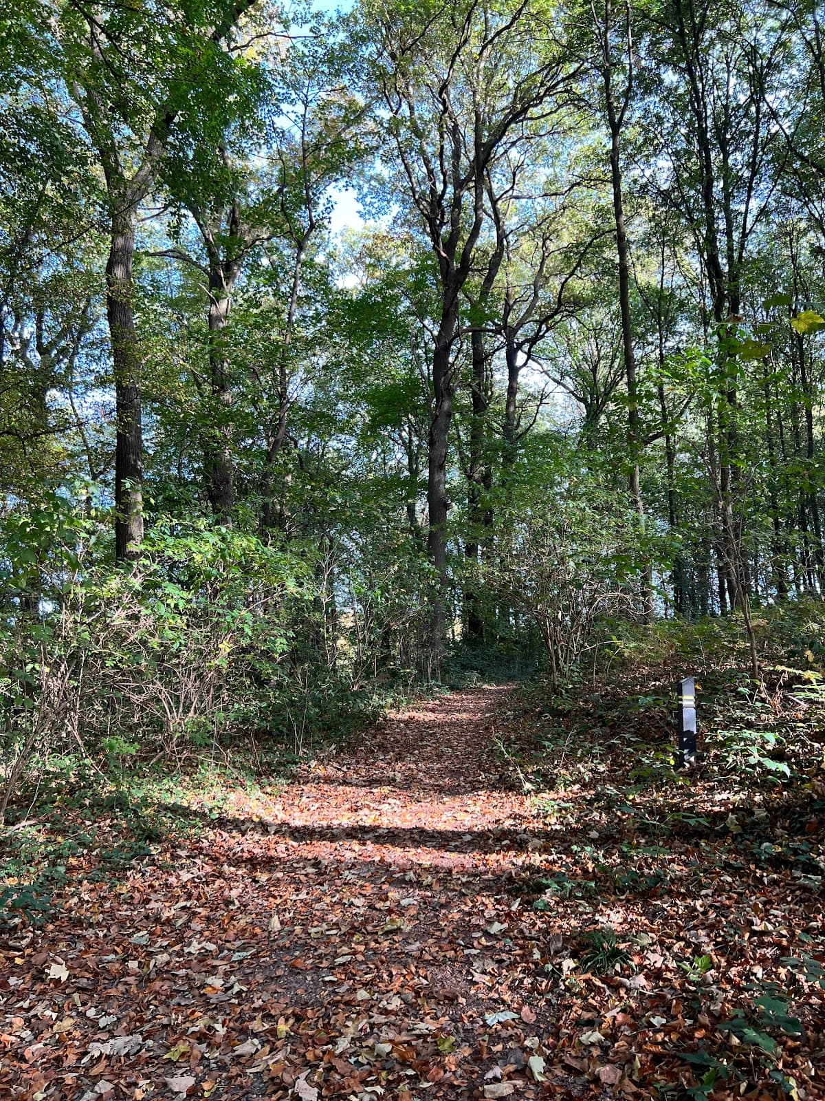 Imstenraderbos - Image 1